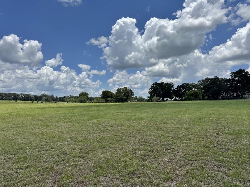 HAMMOCK LANE SOUTH - Land