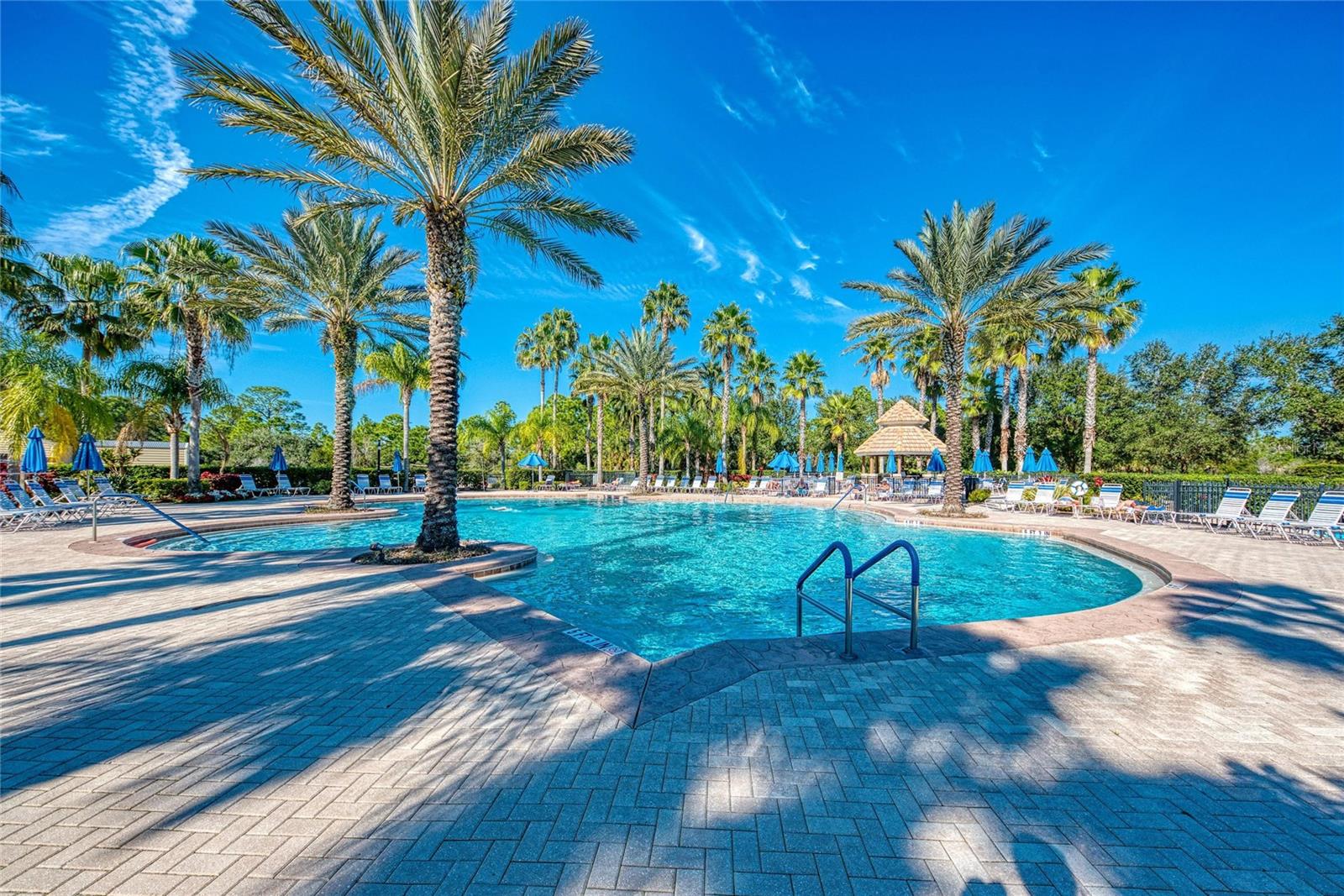 STONEYBROOK AT VENICE - Residential