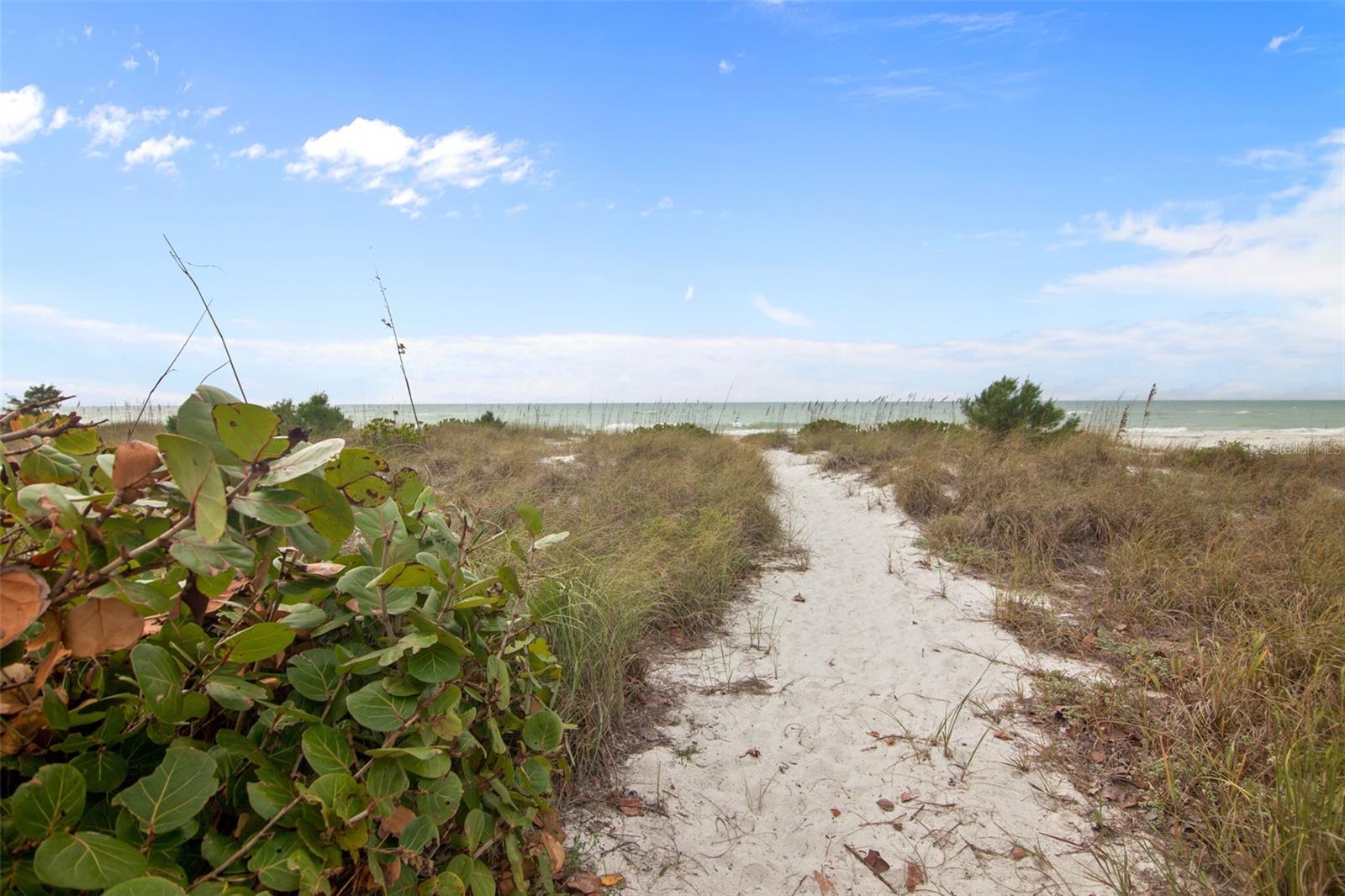 CEDARS WEST OF LONGBOAT INC - Residential