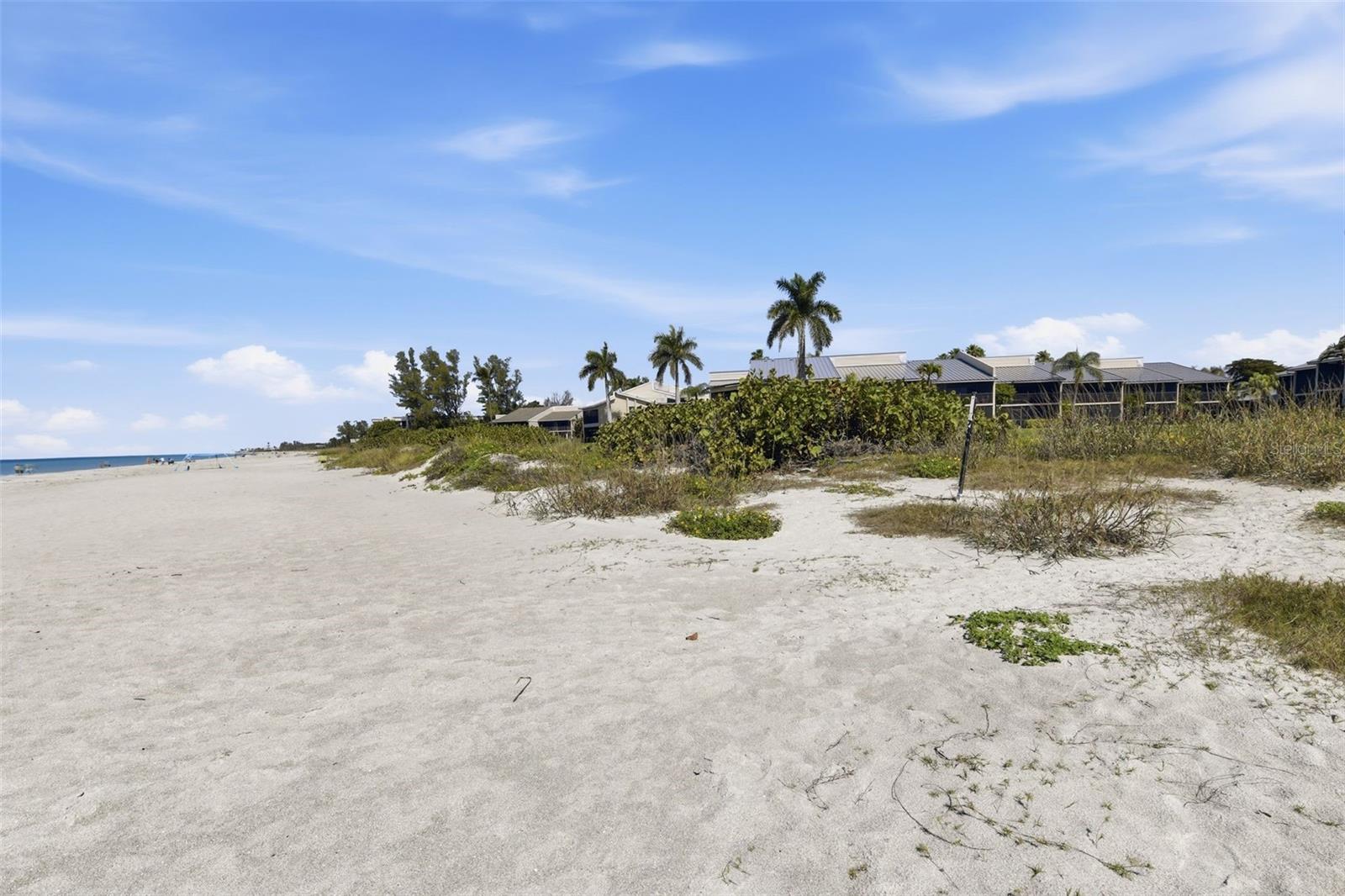 CEDARS WEST OF LONGBOAT INC - Residential