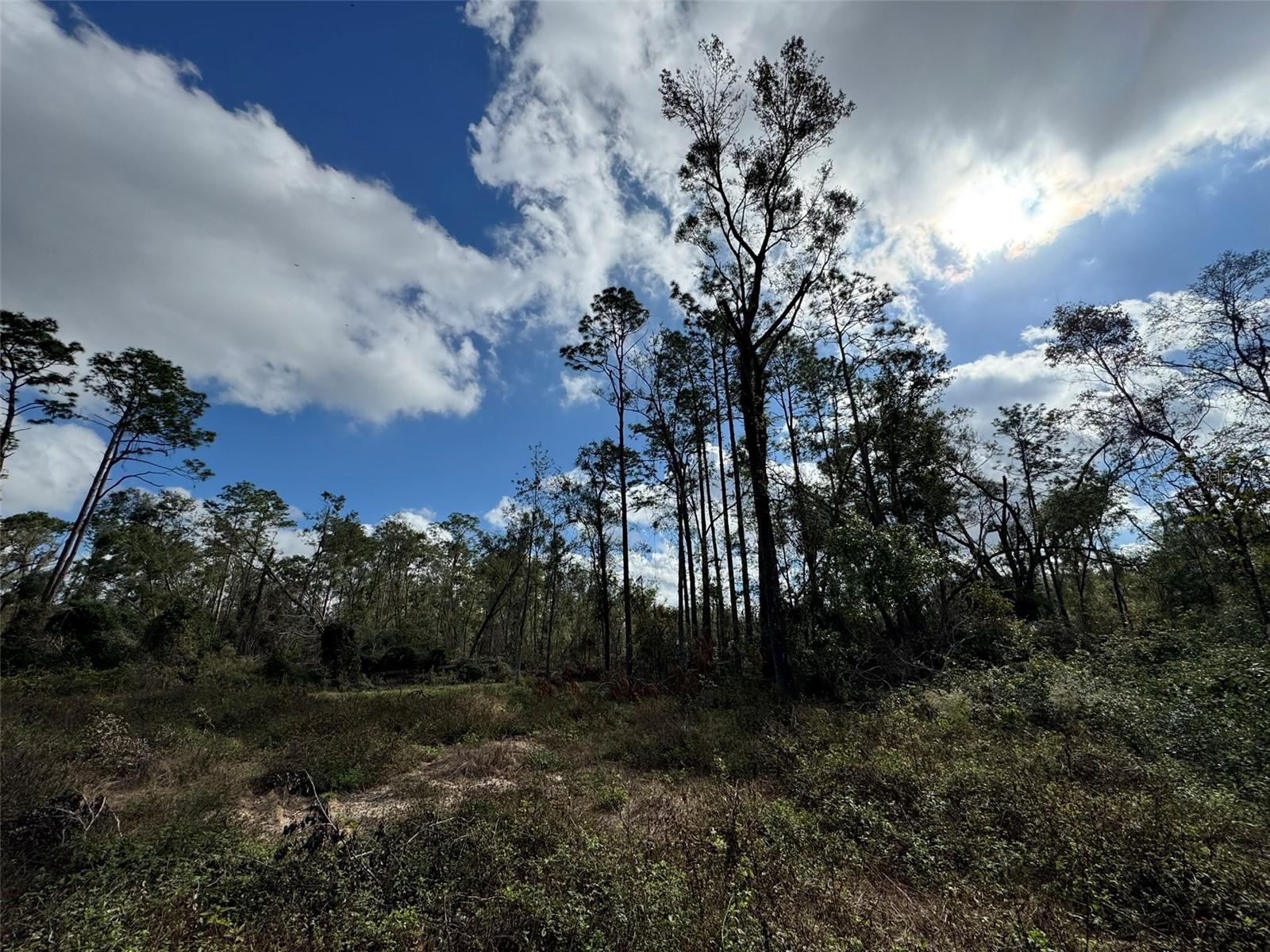 FOR SALE:  1.14 +/- acres located just a few minutes away from Royal Springs on the Suwannee River.  Manufactured Homes allowed.  No HOA.  Only 250’ +/- off hardtop road (CR 349).  River activities include boating, fishing, bird and wildlife watching, kayaking, swimming, snorkeling, tubing, wakeboarding, and waterskiing.  A public boat ramp is nearby.  Make your appointment today to preview this property.