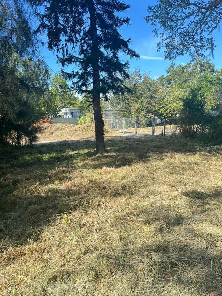 HORSEY PARK - Land