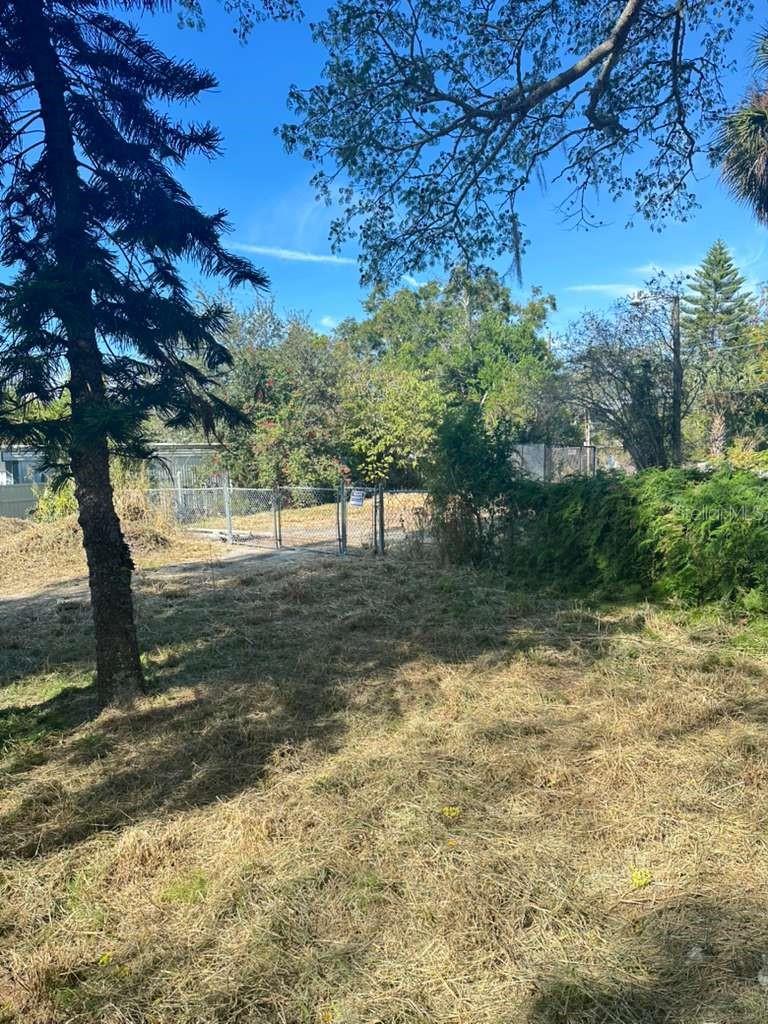 HORSEY PARK - Land