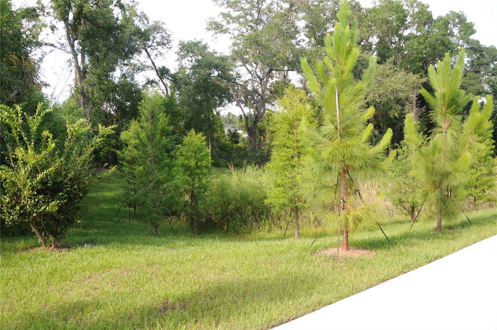GARDENS/DIANA NORTH BLDG 2 - Residential