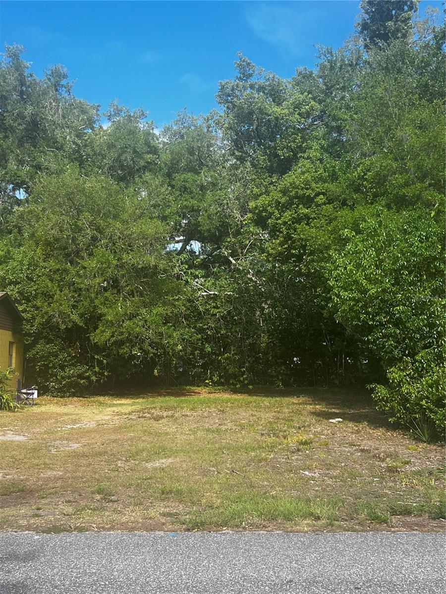 ACREAGE & UNREC - Land