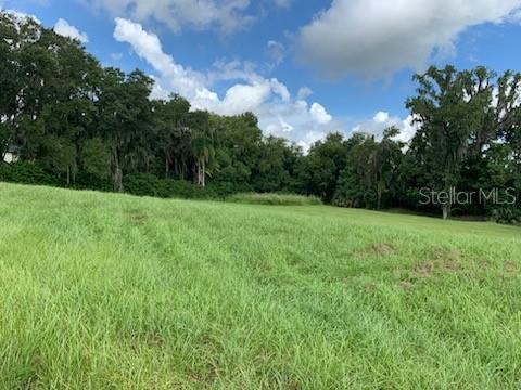 Grand Location in the private Gated community of Lake Jovita. This .83 of an acre lot is located in one of the most stunning resort-style communities in Pasco County.  Bring your own builder and Build your dream estate home. Included amenities for Lake Jovita are: 24-hour guarded gate, Junior Olympic size pool, community park, playground, and dog park, pickleball court, playground, tennis,walking trail.
 For an additional price there is a membership that will allow access to both 18-hole golf courses, The North and The South, each course is vastly different and large drive range and area for putting, Clay tennis courts, Upgraded fitness center, and a clubhouse. 
This seller is offering a 1.02 Acre lot next to this one for sale. You could combine both to build your new home.   Call today for a private showing.
