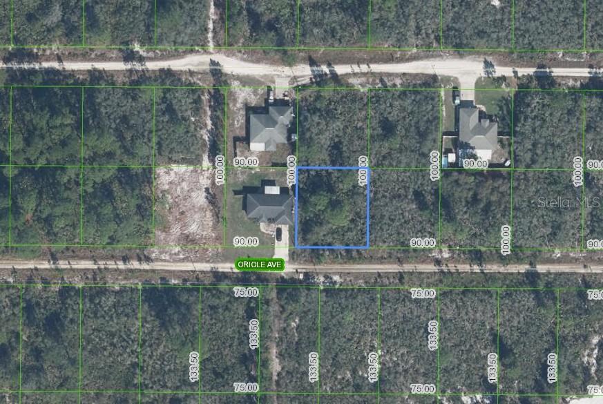 Secure your piece of one of Florida’s fastest-growing markets with this prime homesite. Ideal for builders, investors, or future homeowners, this lot offers the perfect canvas for new construction in an area experiencing rapid growth and increasing demand. Whether you’re looking to build now or hold for future appreciation, opportunities like this are becoming harder to find.