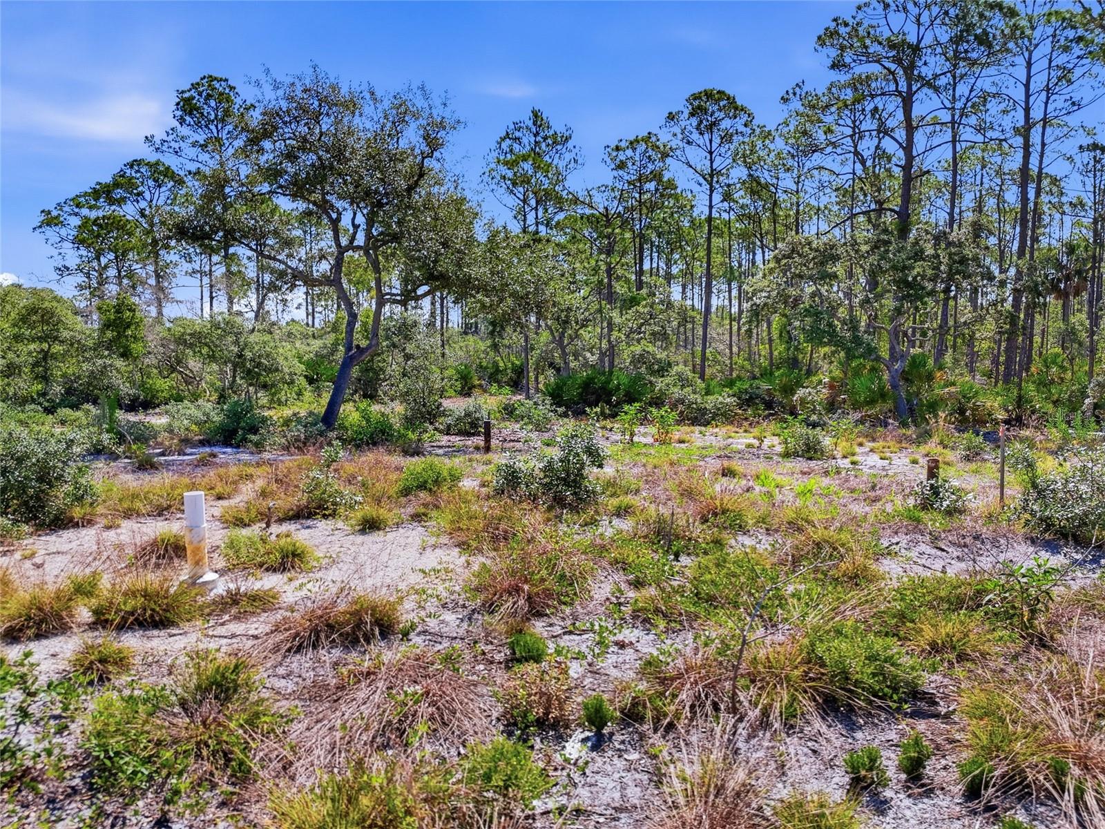 LUKENS RESERVE 15 - Land