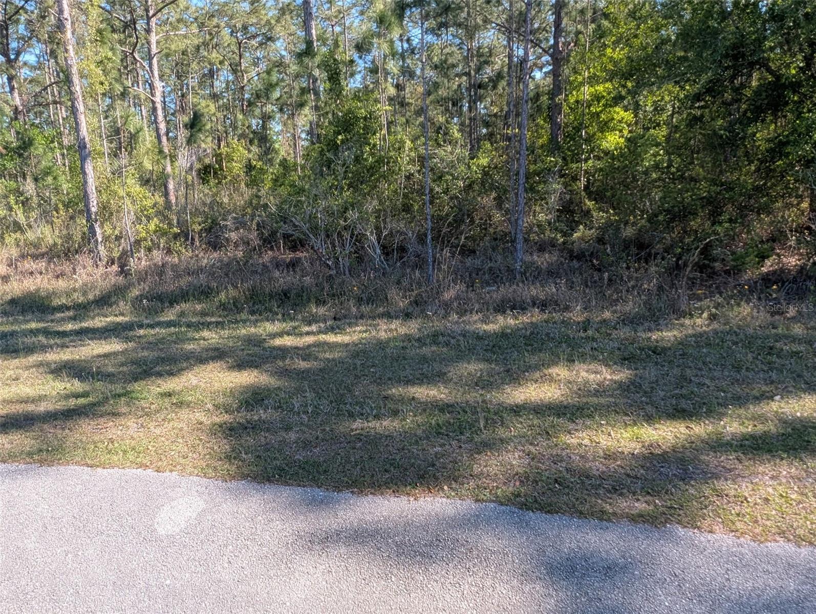 INDIAN LAKE ESTATES - Land