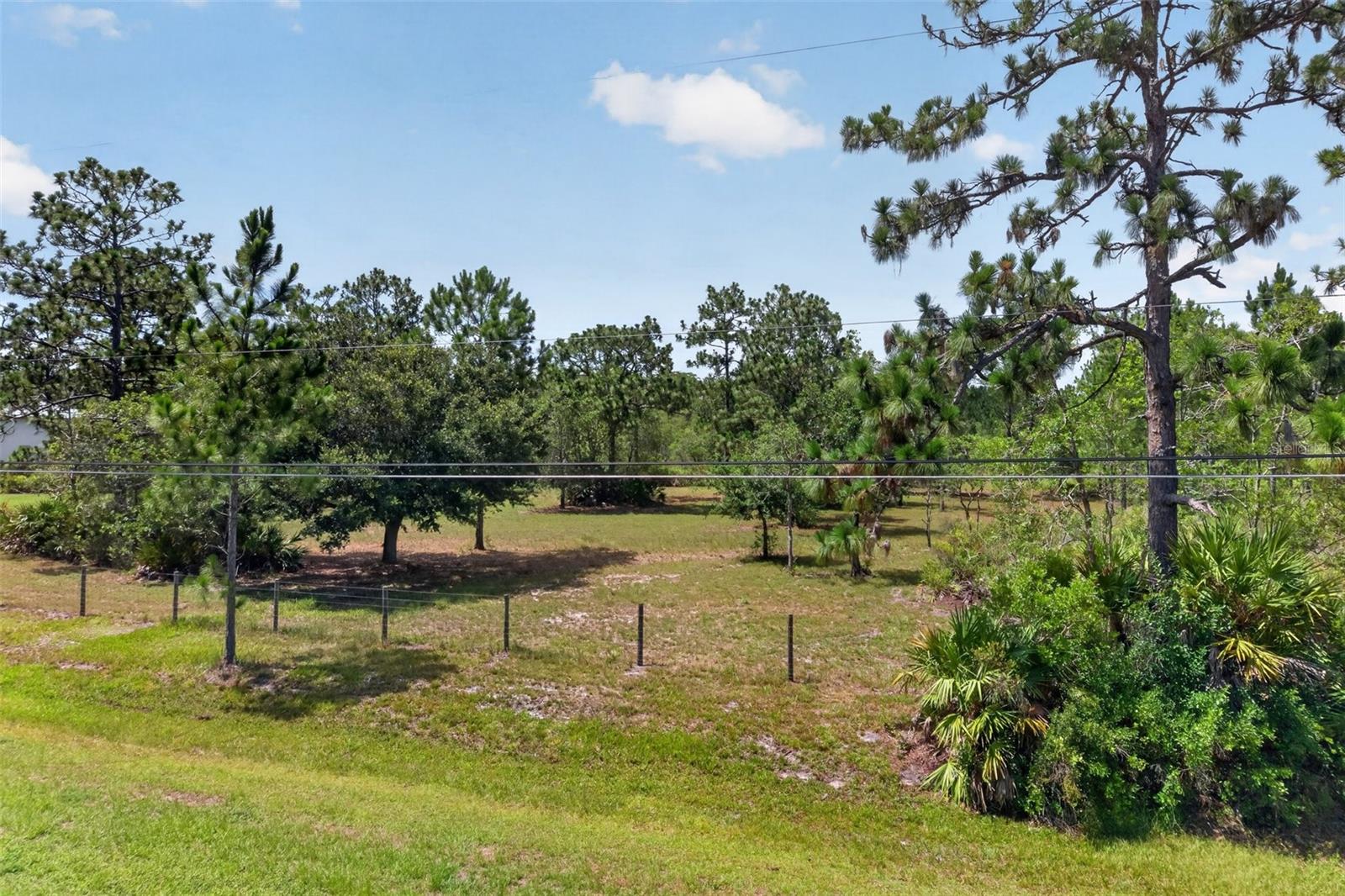 WEDGEFIELD - Land