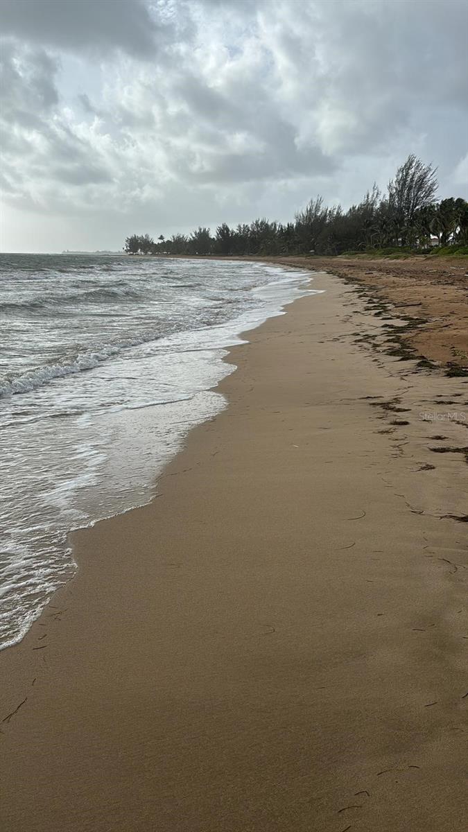 LAS PICUAS BEACH - Residential