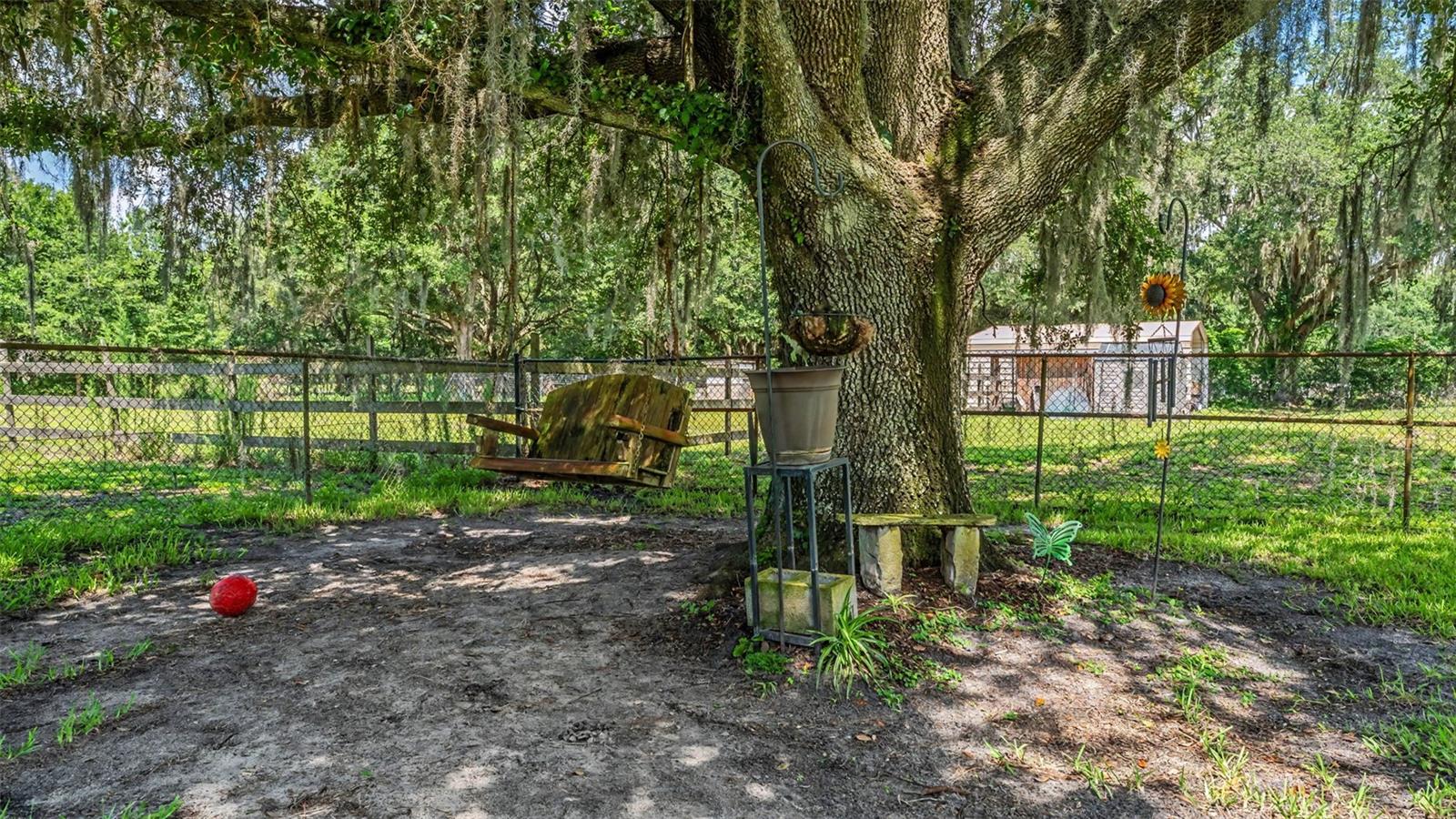 PINE MEADOW ACRES - Residential