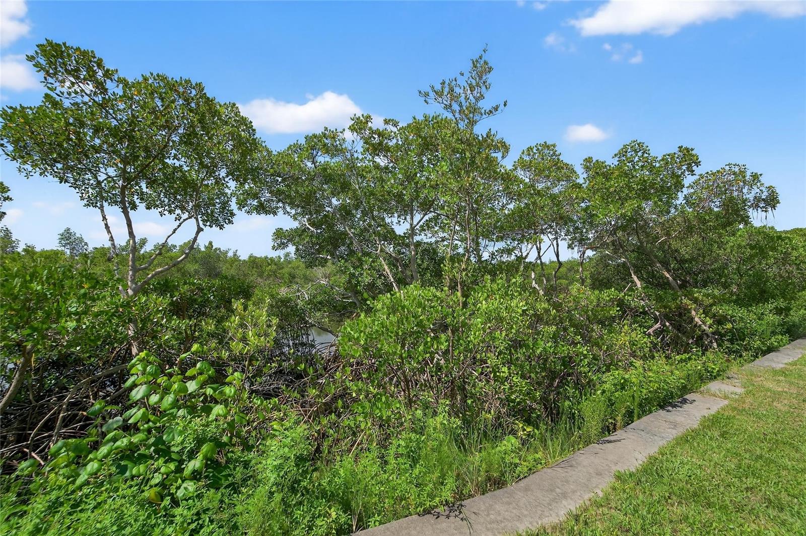 BAHIA BEACH TWNHMS PH 2 - Residential Lease