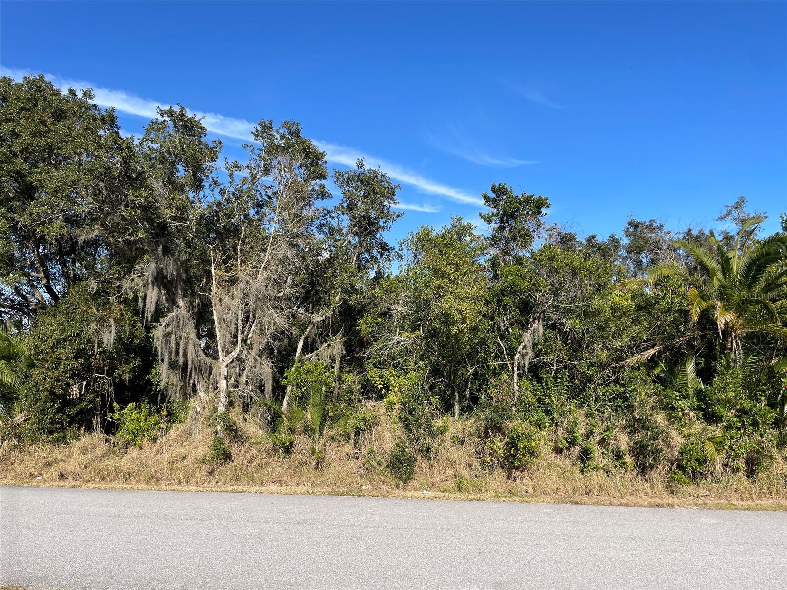 Nice wooded 0.4-acre lot for sale in Lake Wales, FL located in the Golf View Park area. Great opportunity to build your dream home  rental property, or invest for the future. Conveniently located near Highway 60 with easy access to shopping, restaurants, golf courses, and local amenities. Enjoy the privacy and natural beauty of this wooded parcel with a park directly across the street.