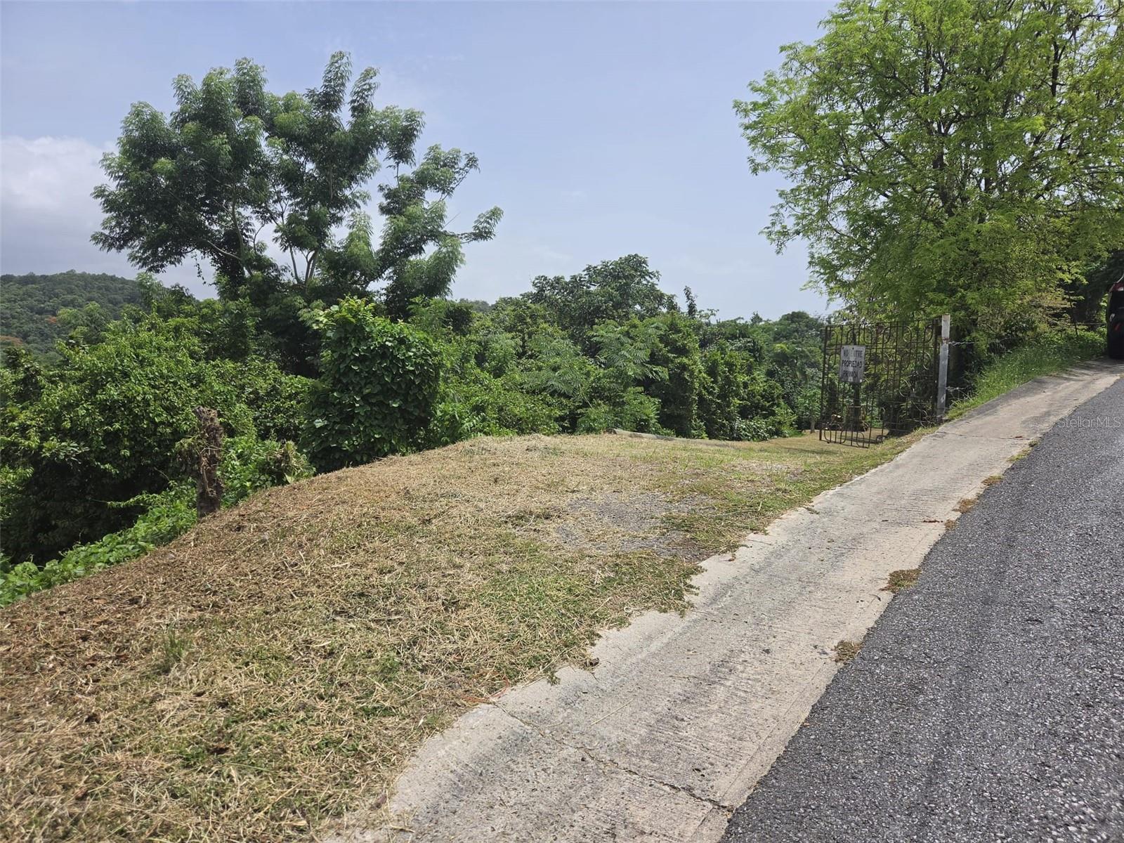 For all you finca lovers in the house I am selling 9.5 acres in Barrio Malezas, Mayagüez, Road 438, Km. 5.7.  Access to a river. Forest fruit trees. This property comes with a structure of a house ready to be finished, 1,200 sq. ft.  Access to power and water!