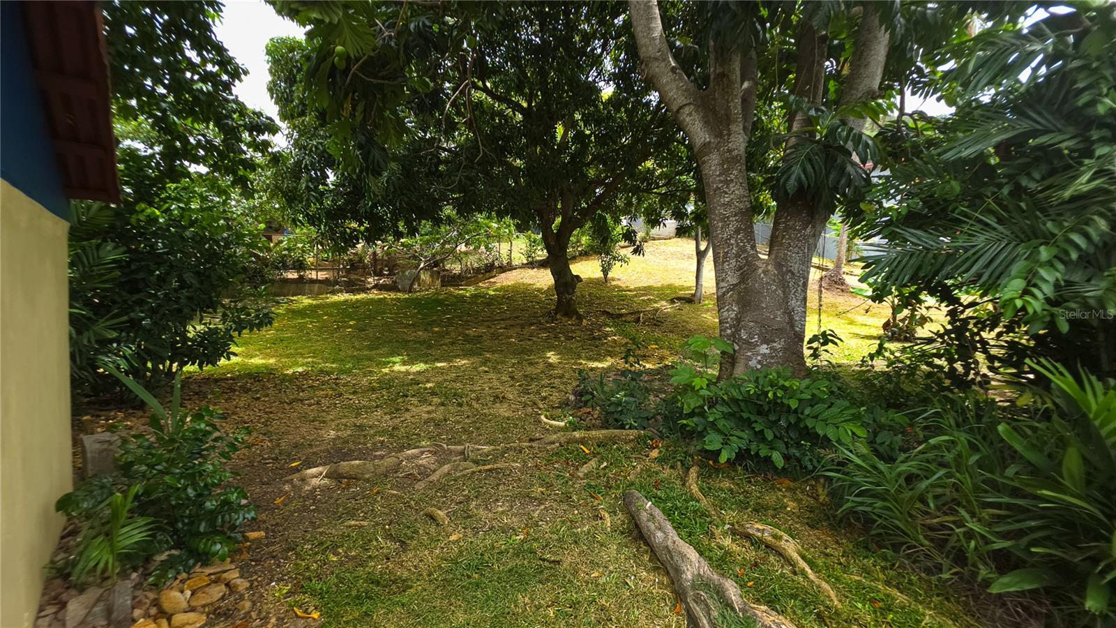 BARRIO FLOENCIO QUEBRADA - Residential
