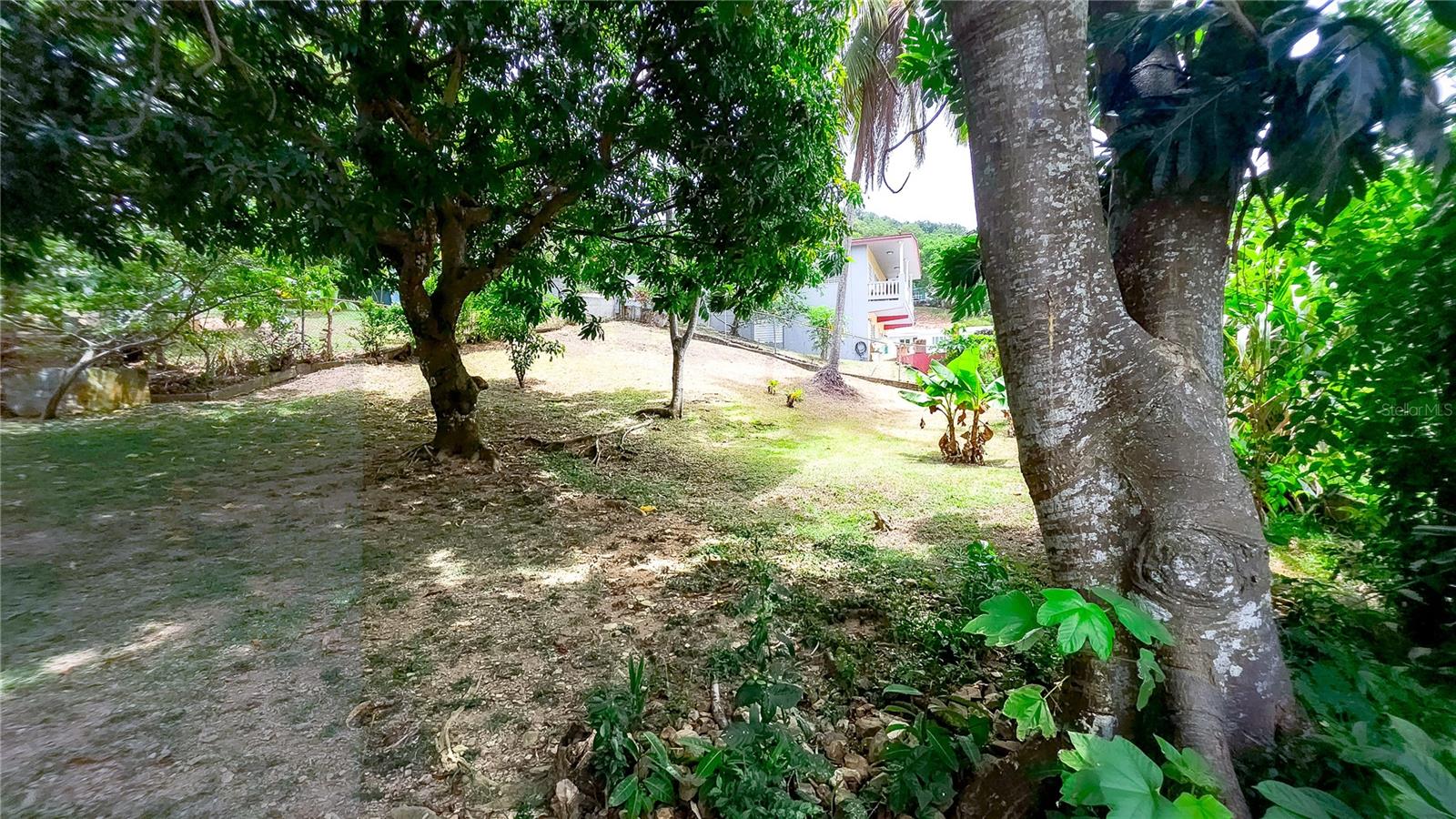 BARRIO FLOENCIO QUEBRADA - Residential