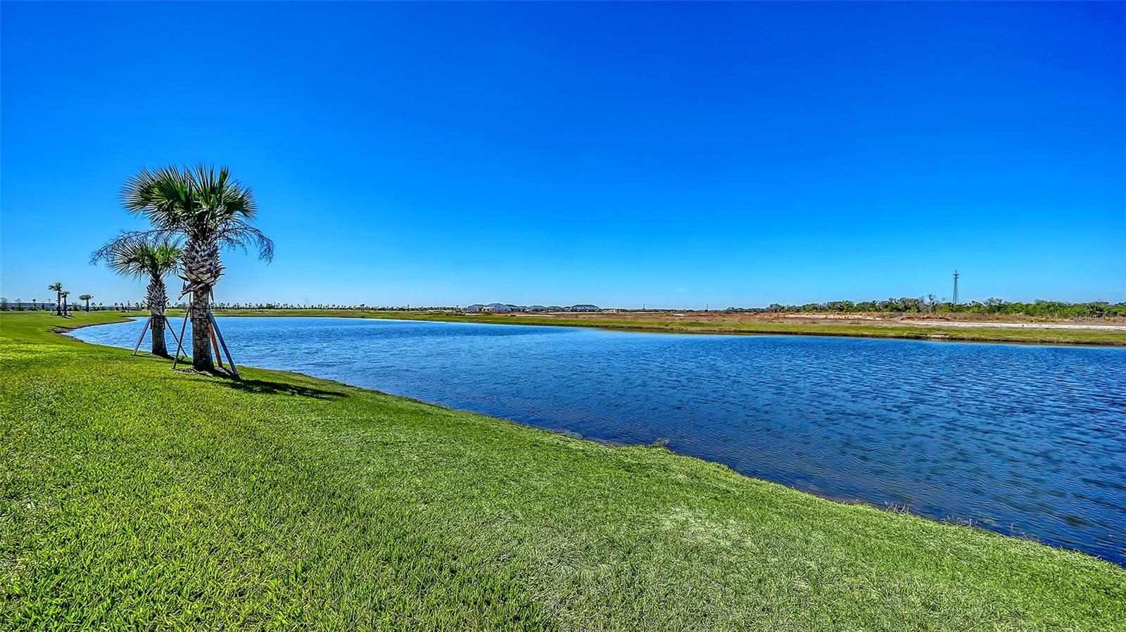 PALM GROVE AT LAKEWOOD RANCH - Residential