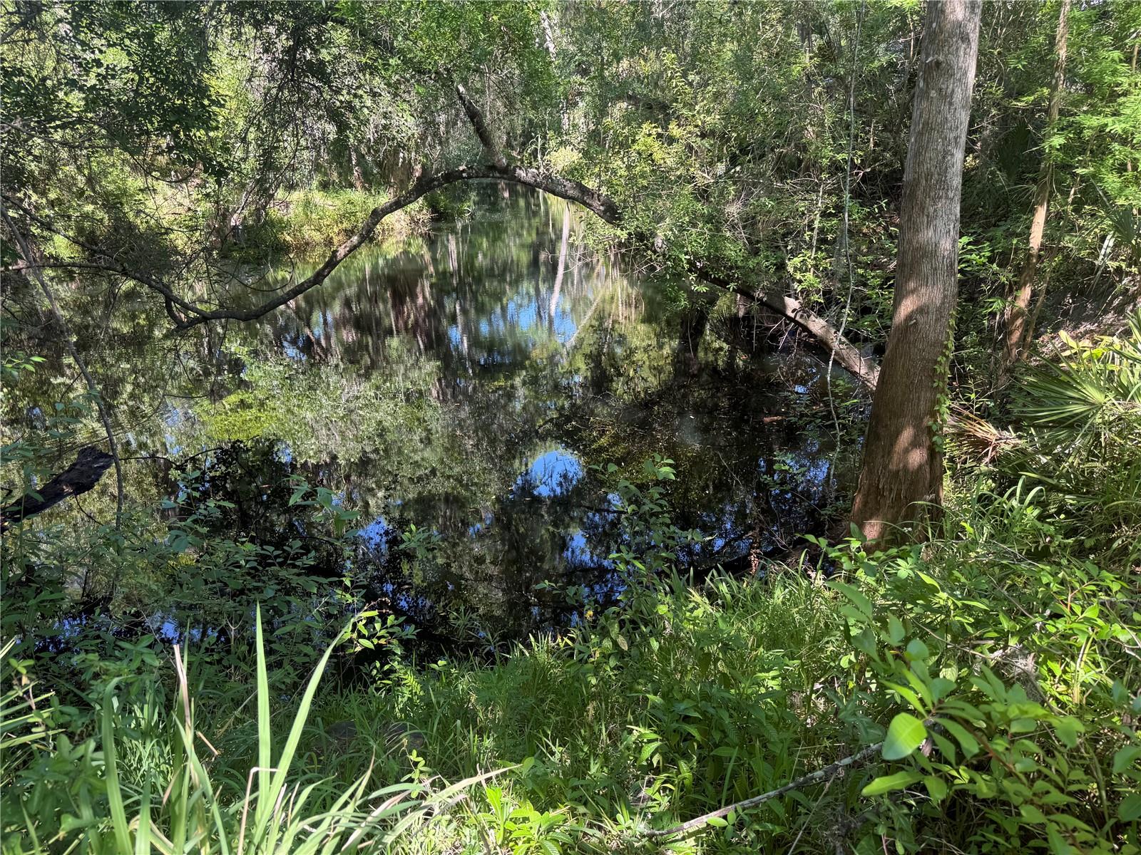 ANCLOTE RIVER ACRES - Land
