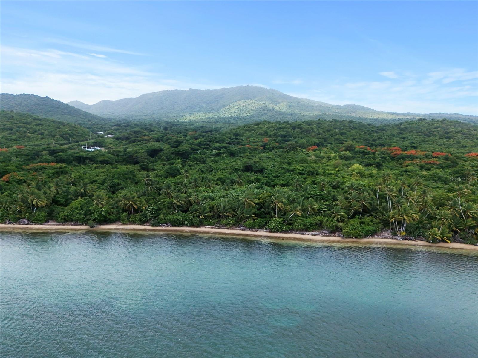 PUNTA ARENAS - VIEQUES - Land