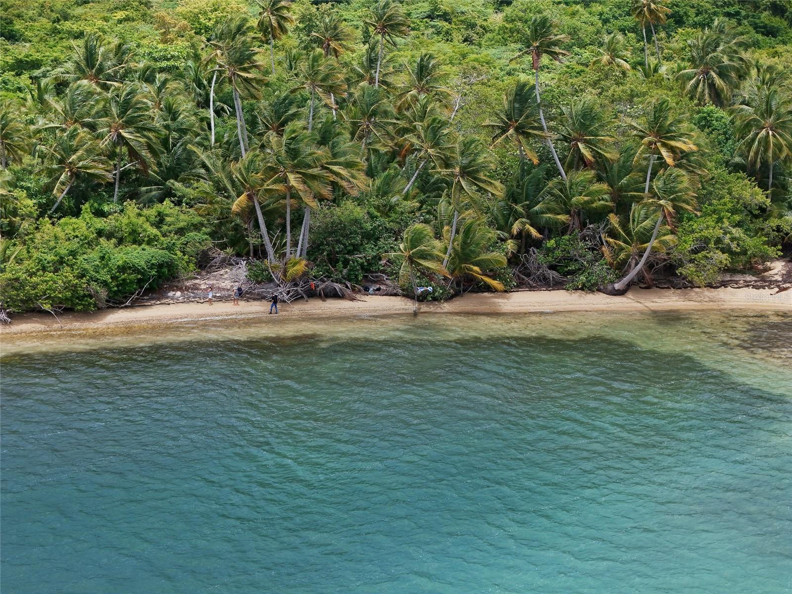 PUNTA ARENAS - VIEQUES - Land