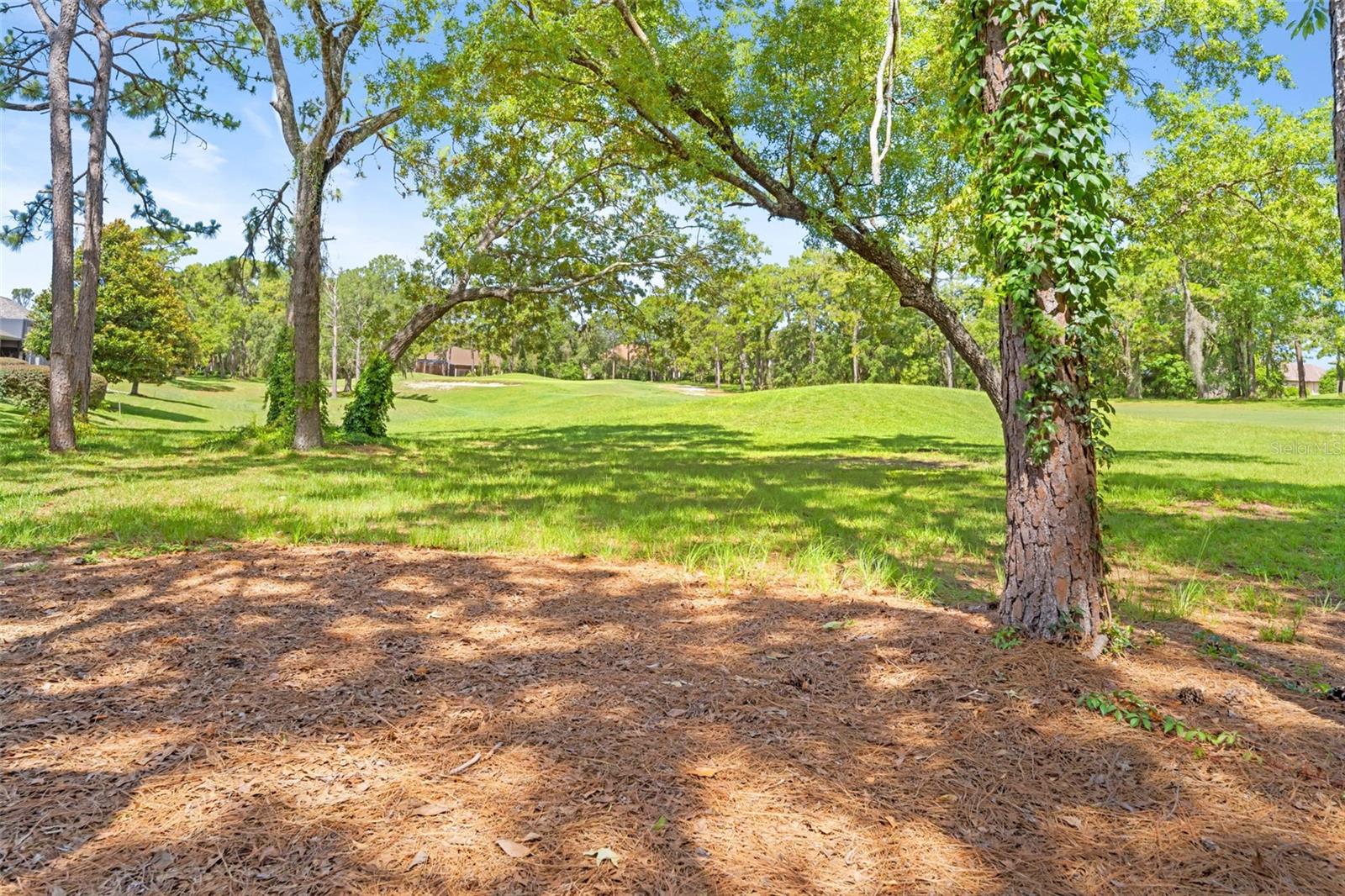 SILVERTHORN PH 2B - Residential