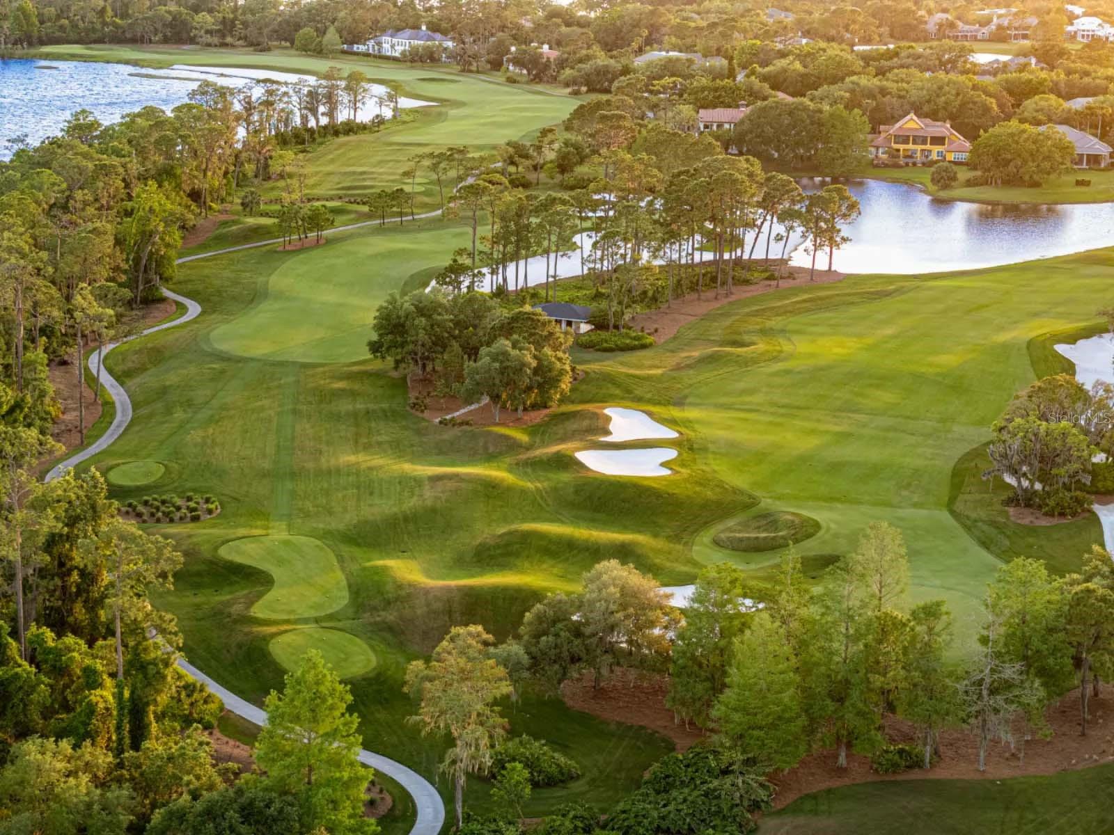 LAKE NONA ESTATES - Residential