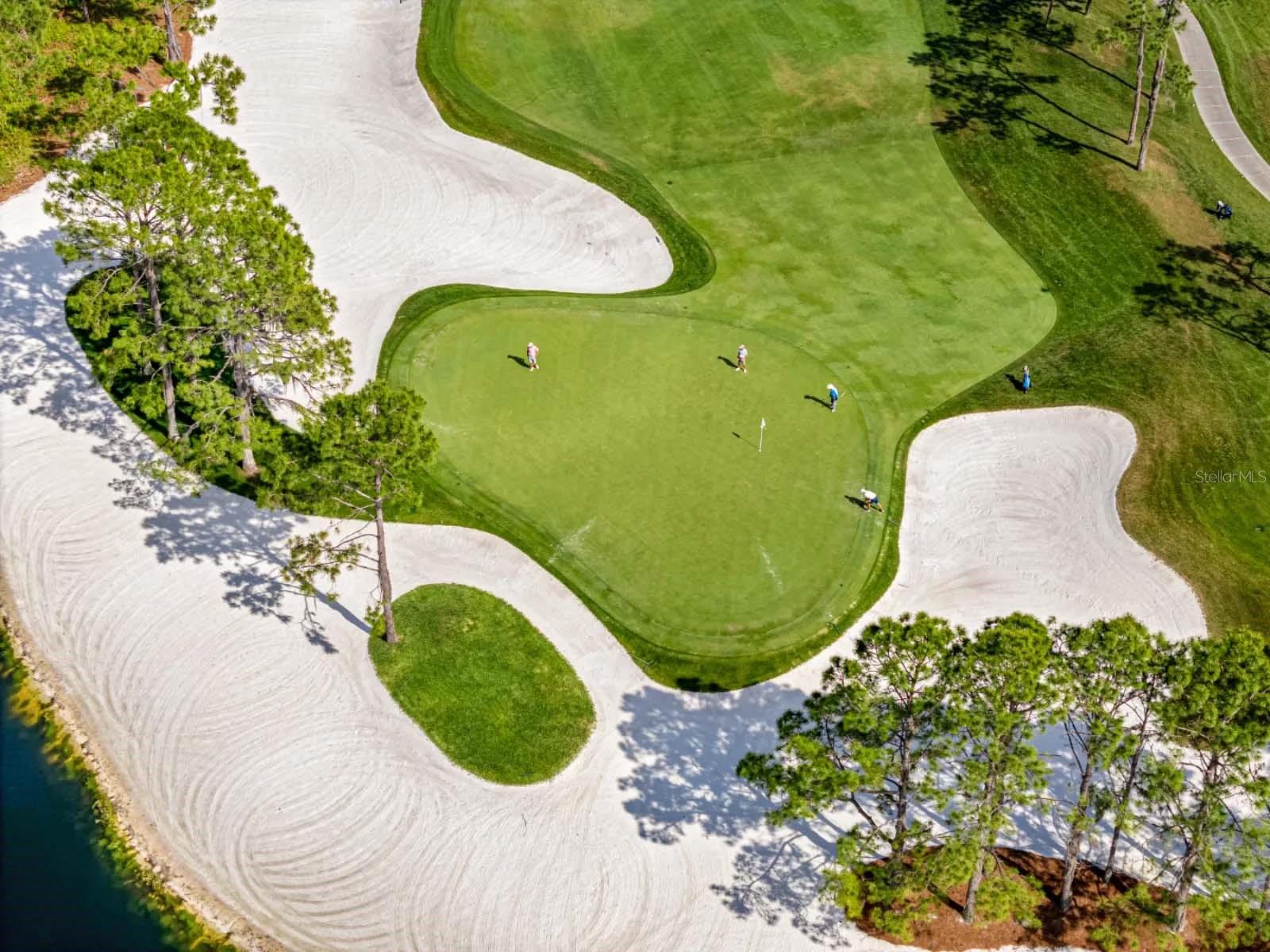 LAKE NONA ESTATES - Residential