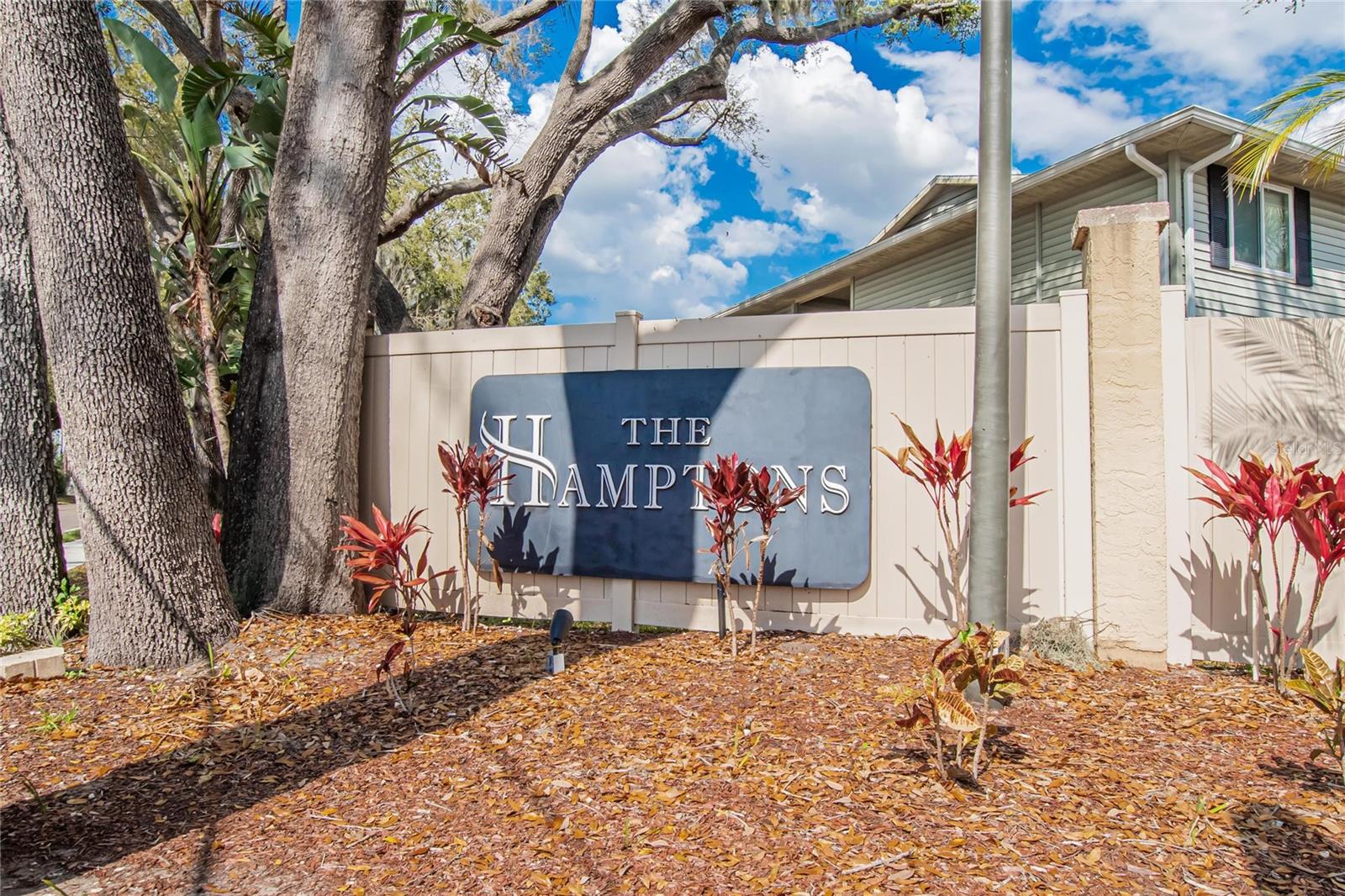 THE HAMPTONS AT BRANDON A CONDO - Residential