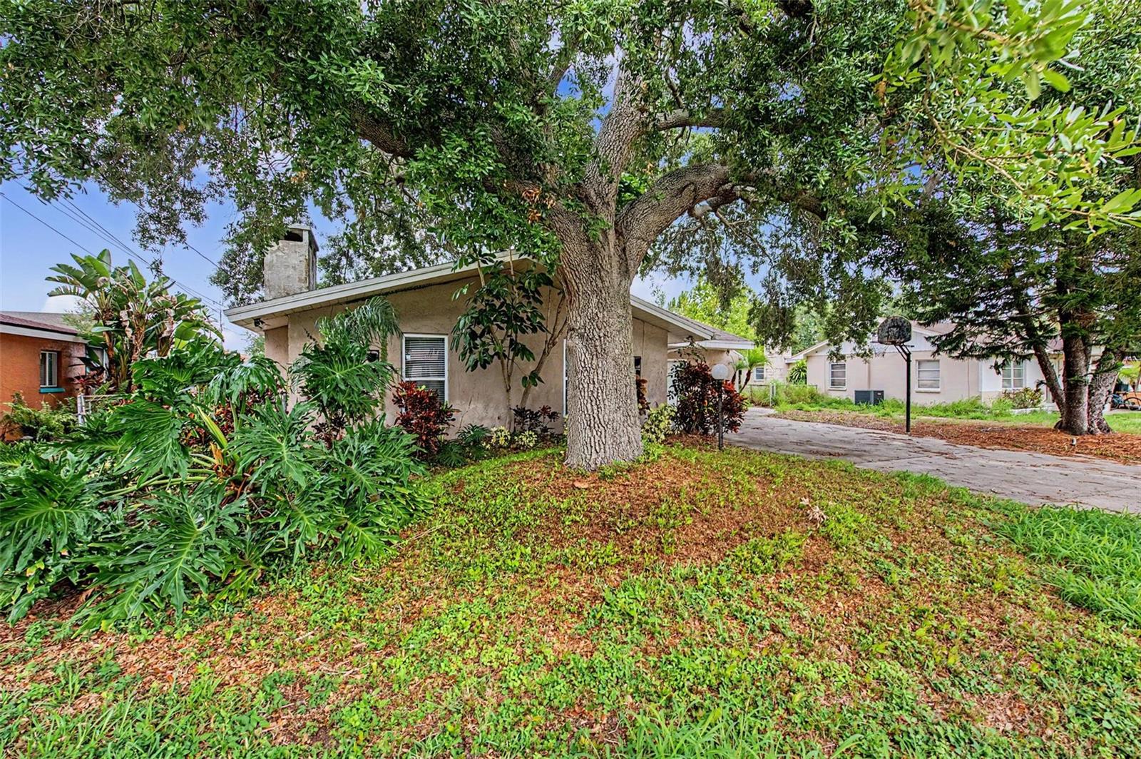 SUMMERDALE SUB - Residential