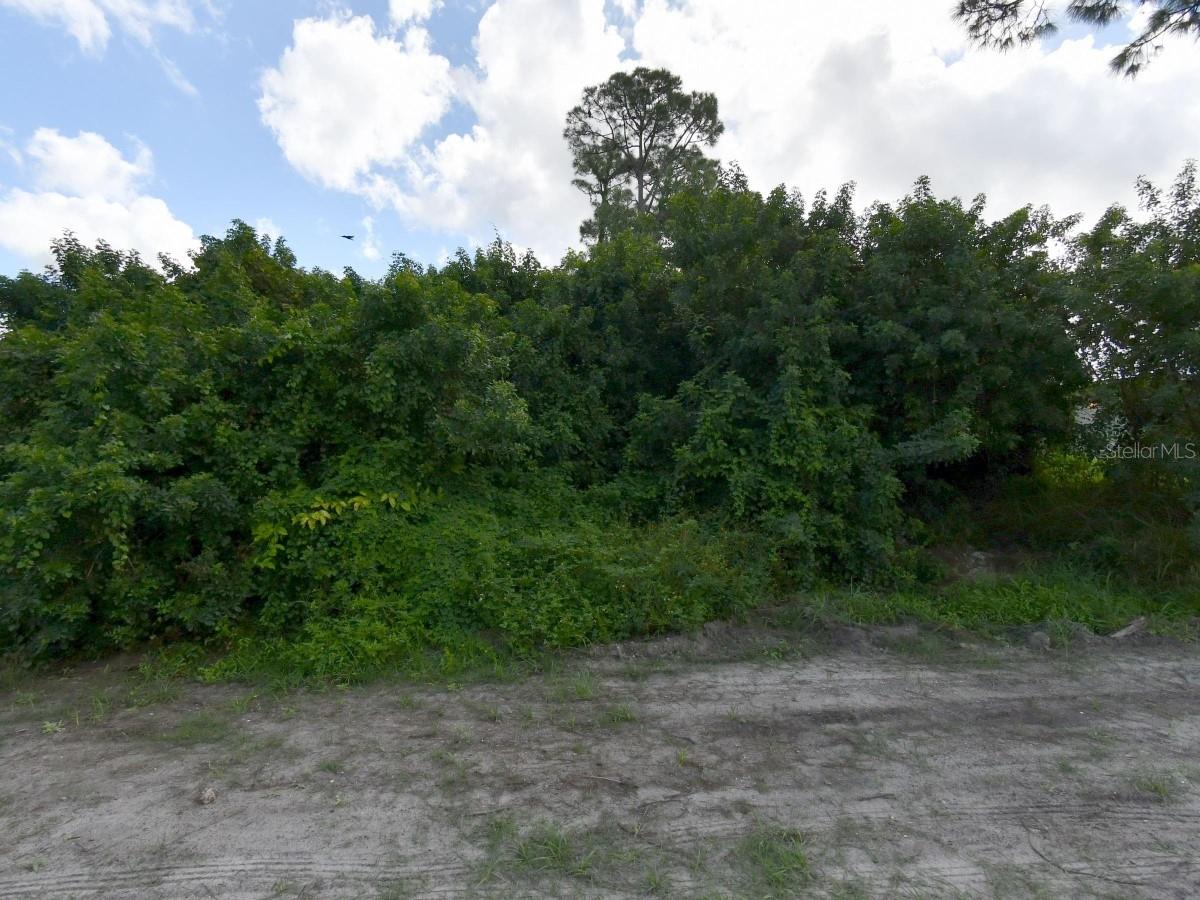 Beautiful, wooded lot in a well-established community. Perfect for building your custom home or holding for future investment. A rare opportunity to own land in a desirable, developed area with plenty of potential.