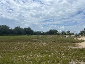 Don't miss this chance to invest in a prime piece of real estate in Poinciana! This vacant lot offers immense potential for a future home or investment property in a rapidly developing area. Enjoy the best of both worlds: a quiet, suburban setting surrounded by natural beauty, with Central Florida's major attractions like Walt Disney World, Universal Studios, and SeaWorld just a short drive away. Conveniently located near the Poinciana Medical Center, shopping, and dining options, this lot provides a perfect blend of tranquility and accessibility. Call and see today!