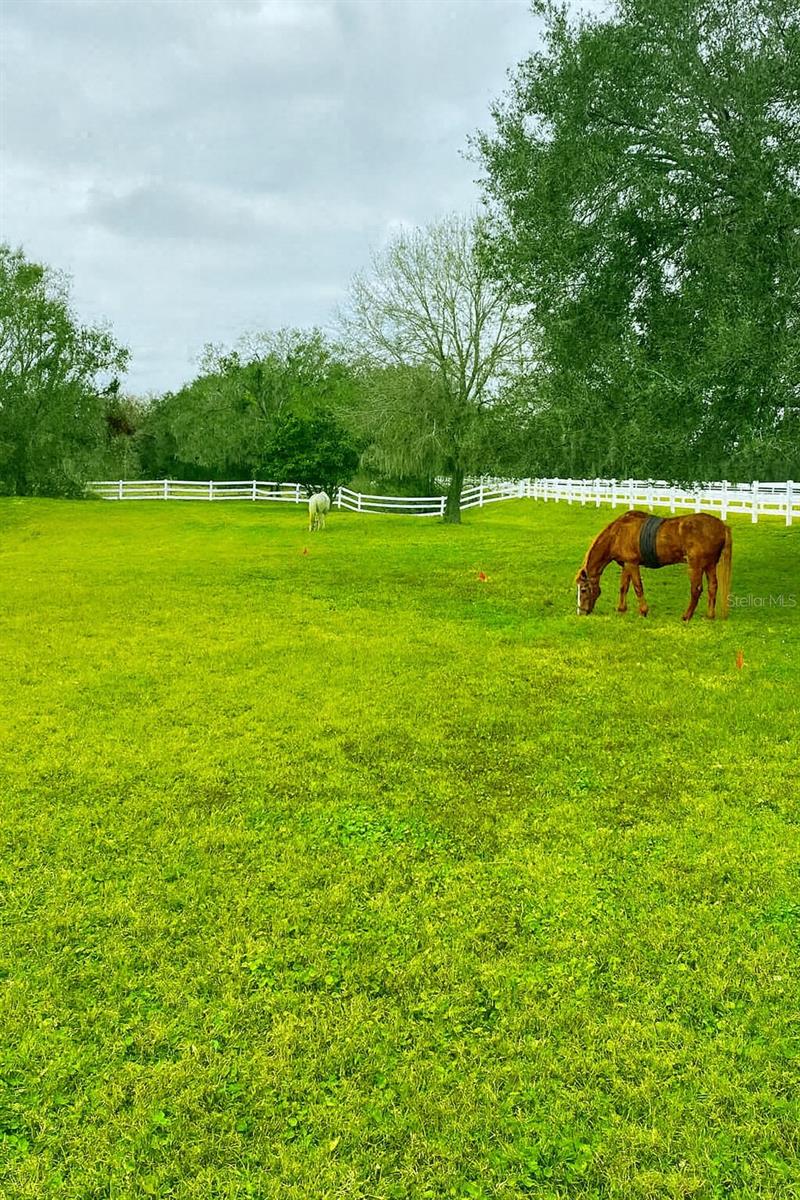 CANTERFIELD FARMS - Residential