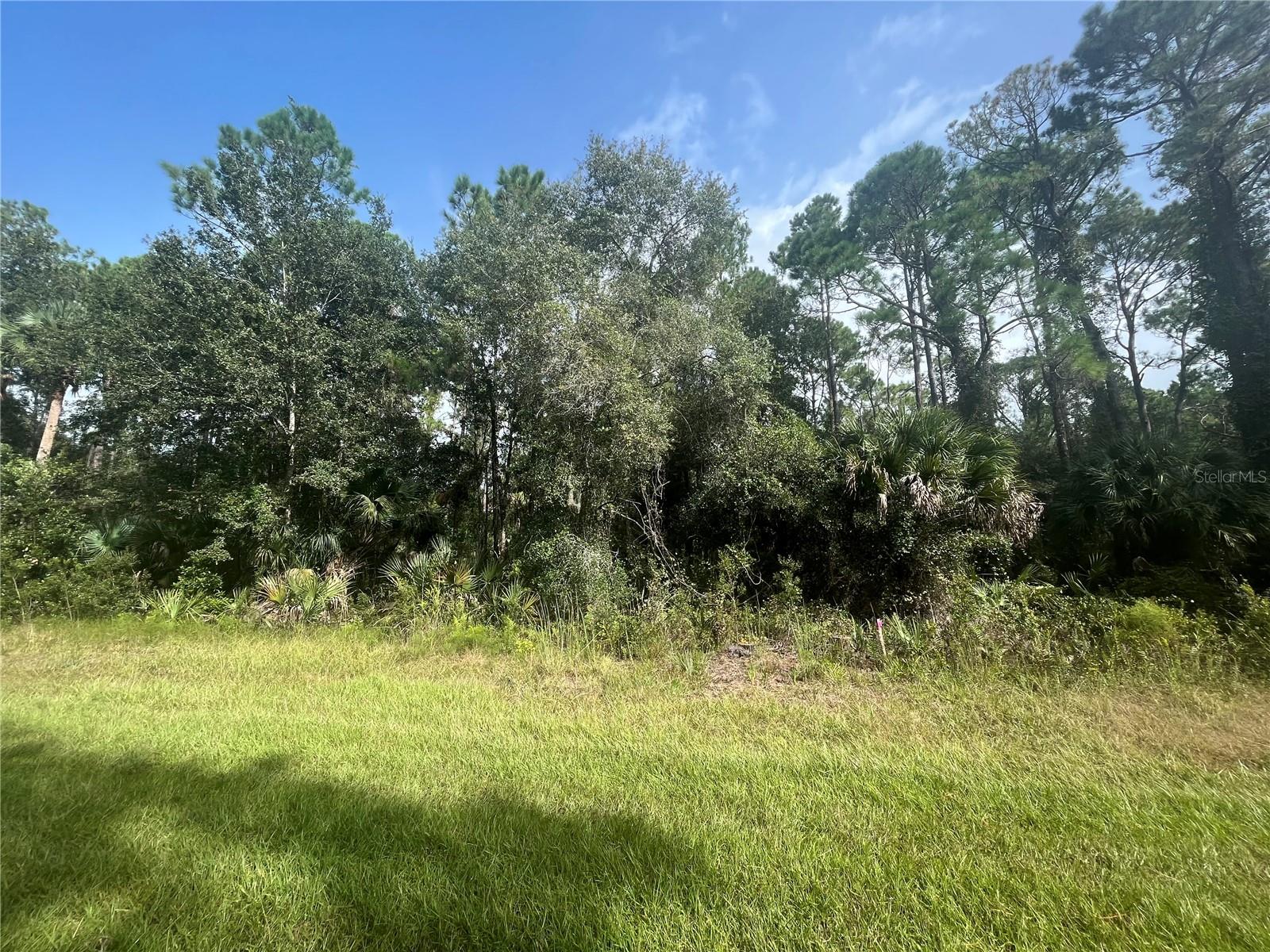 COUNTRY LIVING AT ITS BEST COME CHECK OUT THIS 0.23 ACRE BEAUTIFUL WOODED LOT LOCATED IN GEORGETOWN. BUILD OR BRING YOUR DREAM HOME. Come enjoy St. J River Rod & Reel Club, Boat Ramp, Fishing Pier in Lake George. GO BOATING & FISHING ON RIVER & LAKE. GO SWIMMING IN BEAUTIFUL SALT SPRINGS SILVER GLEN SPRING!! OWNER FINANCING AVAILABLE