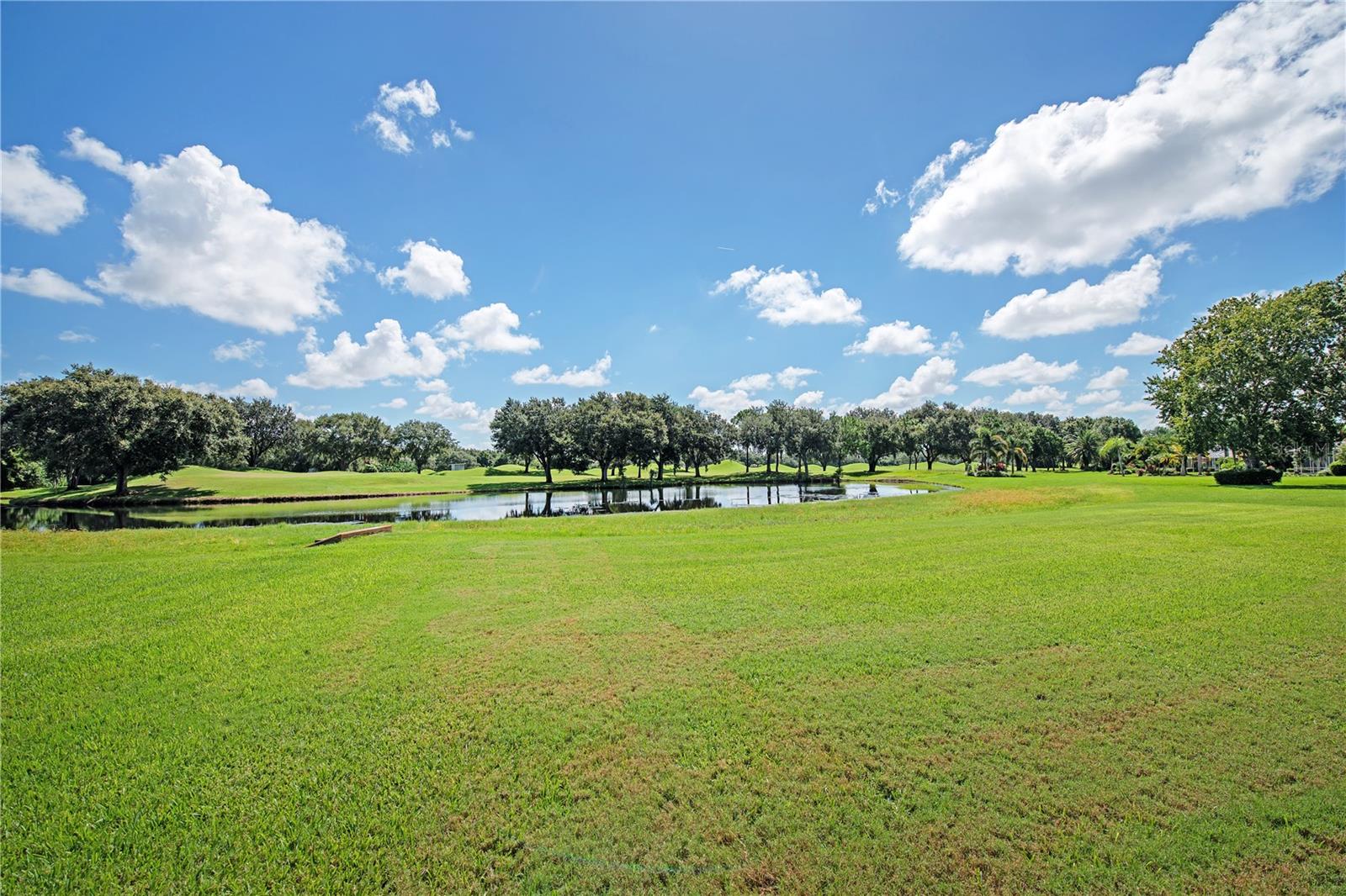 OAKBROOKE I AT RIVER CLUB NORTH - Residential