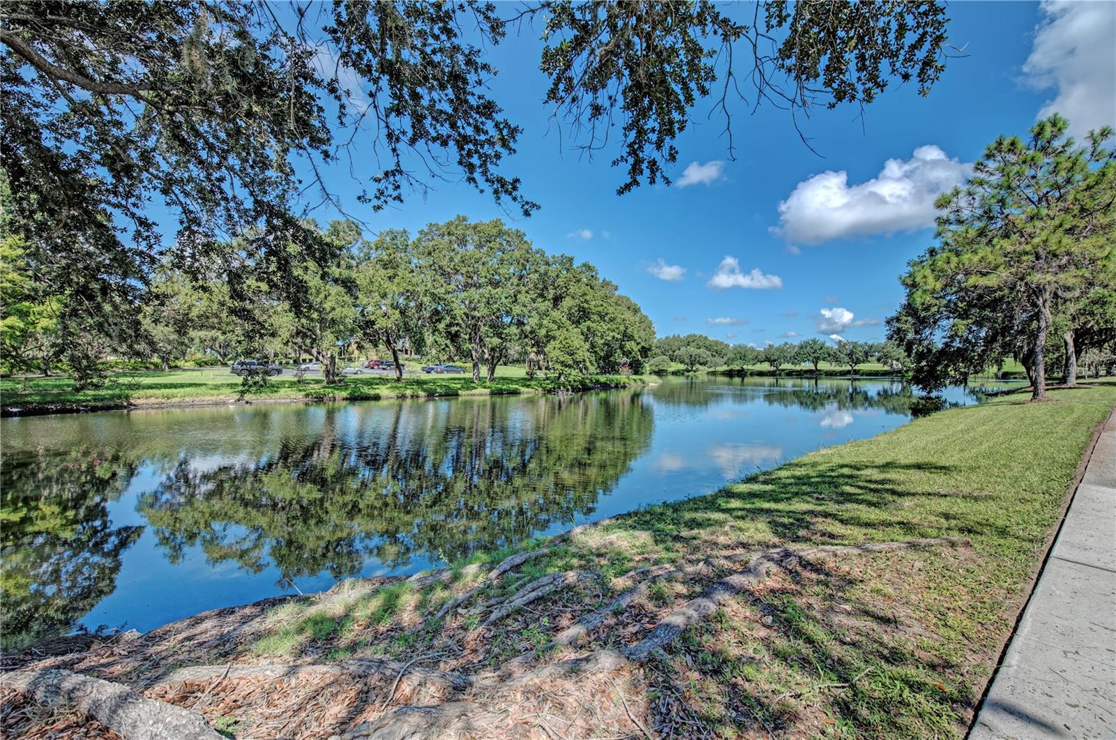 OAKBROOKE I AT RIVER CLUB NORTH - Residential