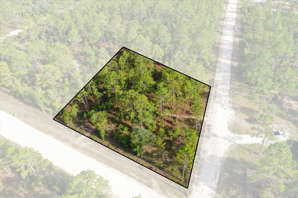 Rare opportunity to own up to 10 acres in Williston Highlands! This unique offering includes ten adjoining 1-acre lots available for purchase together or individually, giving you the flexibility to build your dream home, create a private retreat, or invest in Florida land. Enjoy plenty of room for your home, workshop, RV, boats, horses, and all your outdoor toys in a peaceful country setting just minutes from Williston's amenities. Located in the heart of Florida's Horse Country, the property is also a short drive to the World Equestrian Center in Ocala, as well as popular attractions like Devil's Den and Blue Grotto springs. Whether you're looking to build now or invest for the future, this property offers privacy, natural beauty, and the freedom to create the lifestyle you've been looking for.