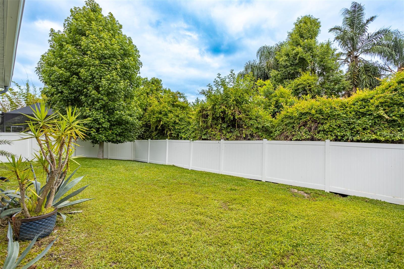 PHILIPPE OAKS OF SAFETY HARBOR - Residential