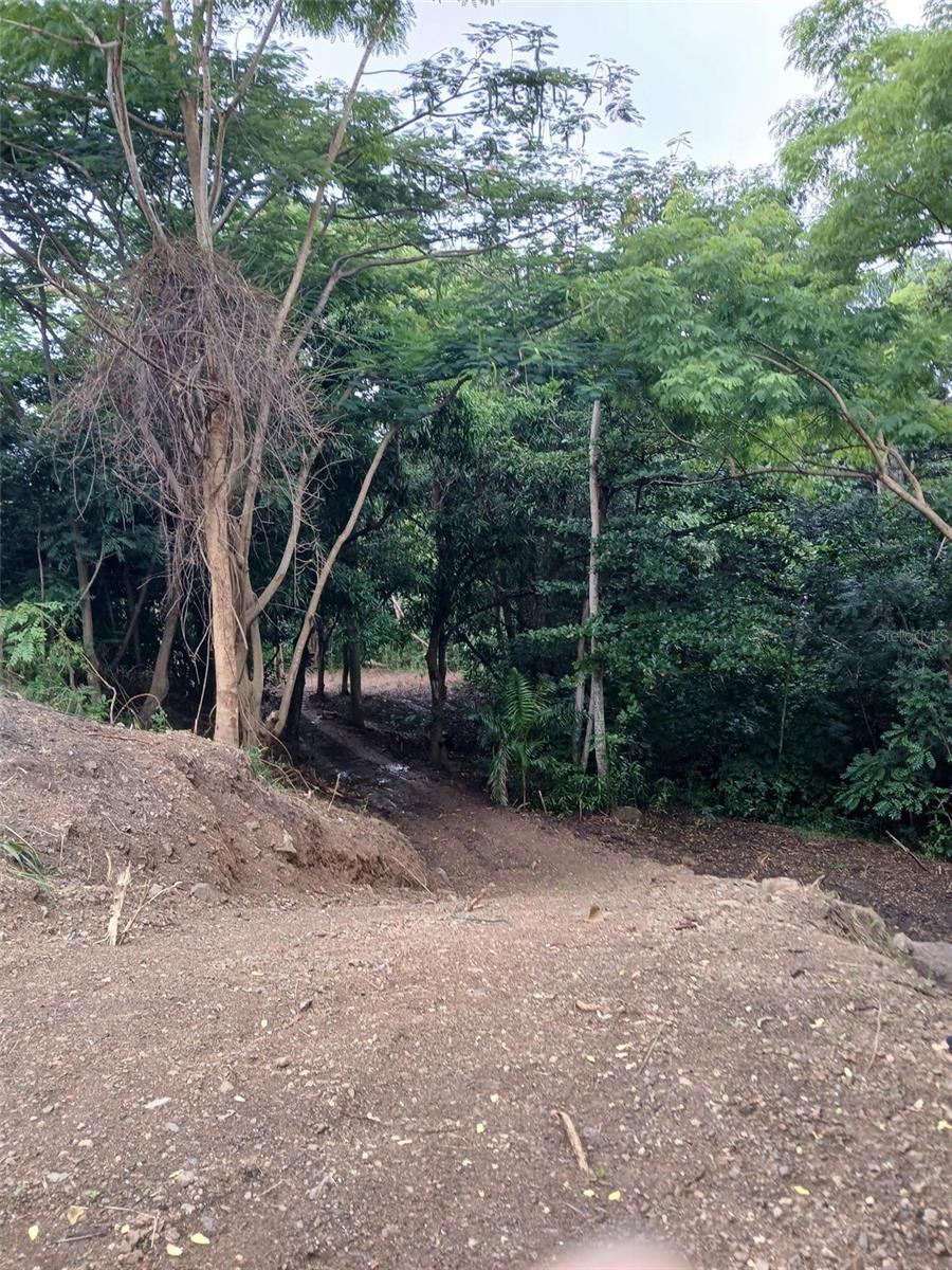 BARRIO BARRERO - Land