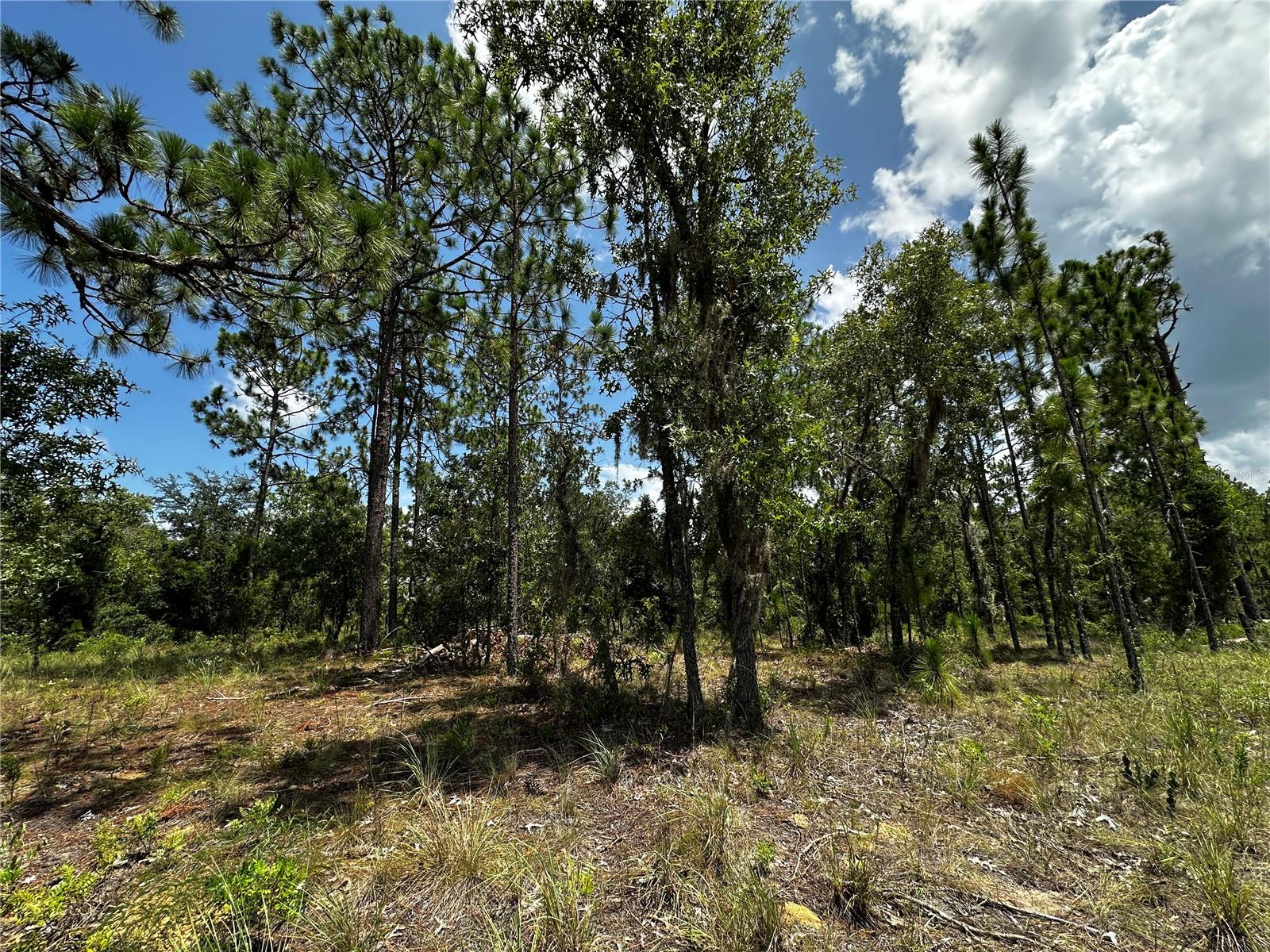 WILLISTON HIGHLANDS UNIT 7 - Land
