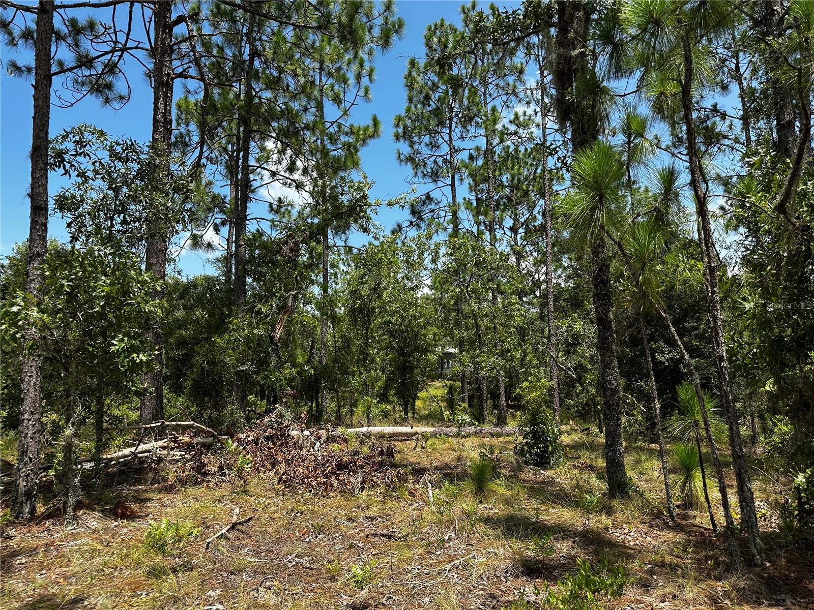 WILLISTON HIGHLANDS UNIT 7 - Land