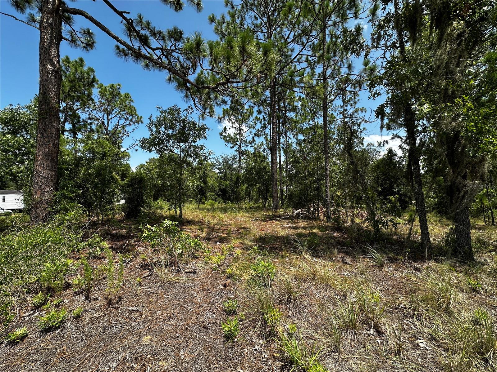 WILLISTON HIGHLANDS UNIT 7 - Land