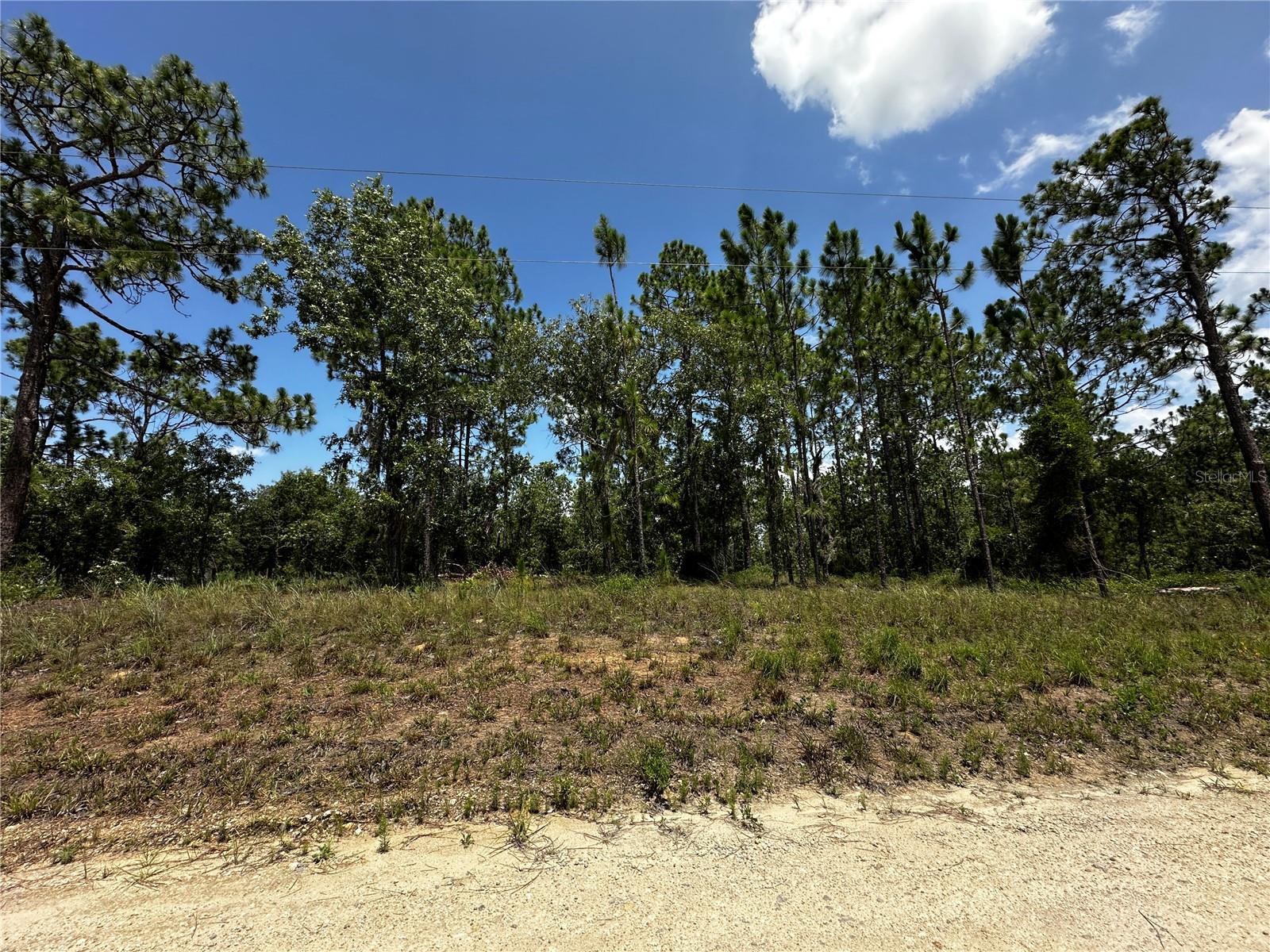 WILLISTON HIGHLANDS 1.25 ACRE BUILDING LOT. Take advantage of this excellent opportunity to own a rural residential lot in Williston Highlands Unit 7, located just feet from paved E Levy Street for convenient access. Whether you're looking to build your future home or secure a smart investment in a growing area, this property offers outstanding potential. No HOA, no flood zones and no time limits to build. Zoned A/RR Agricultural/Rural Residential allowing for your new site-built or manufactured home. Parcel measures about 165' on the road and 330' deep. Enjoy the peaceful rural setting while remaining just a short drive from Williston, Bronson, and Gainesville for shopping, dining, schools, and medical facilities. With easy access to major roadways and Florida's renowned natural springs, parks, and outdoor recreation, this lot is an ideal choice for homeowners, investors, or those planning for the future.