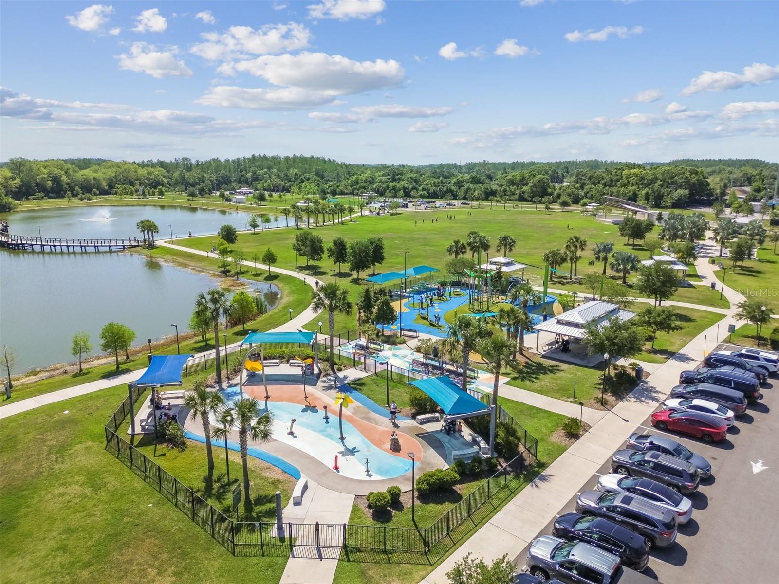 CARROLLWOOD COVE AT EMERALD GR - Residential