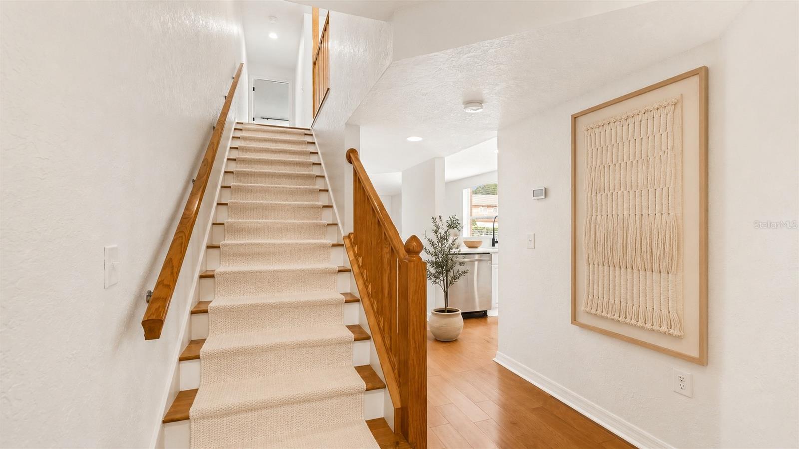 CARROLLWOOD COVE AT EMERALD GR - Residential