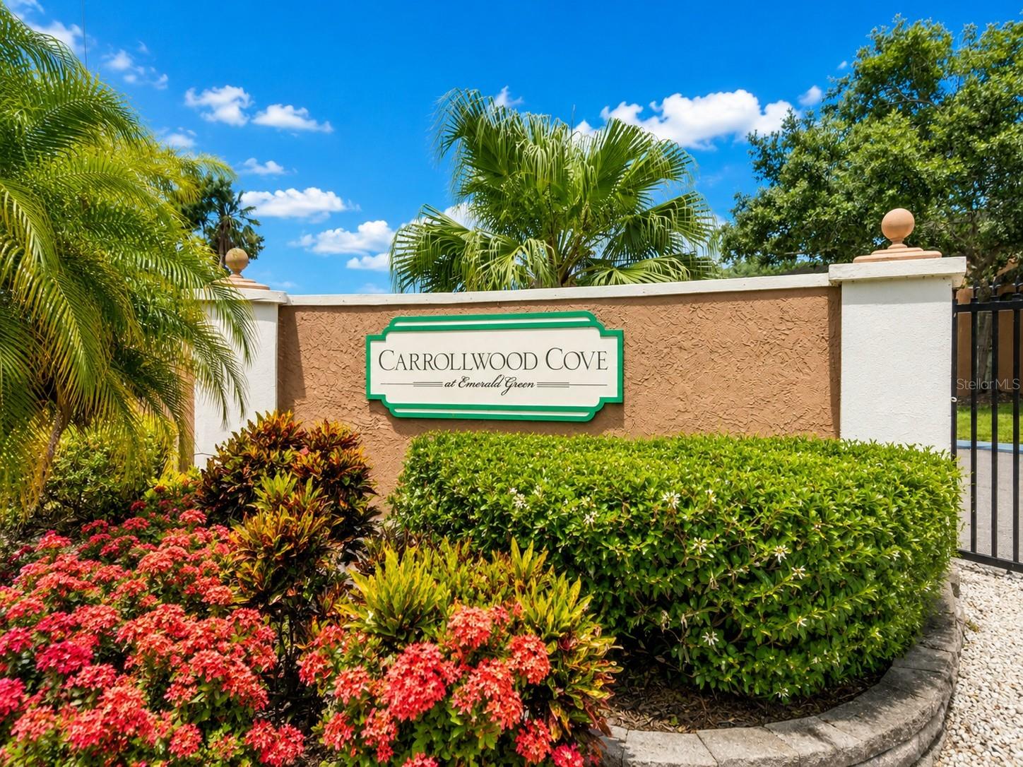 CARROLLWOOD COVE AT EMERALD GR - Residential