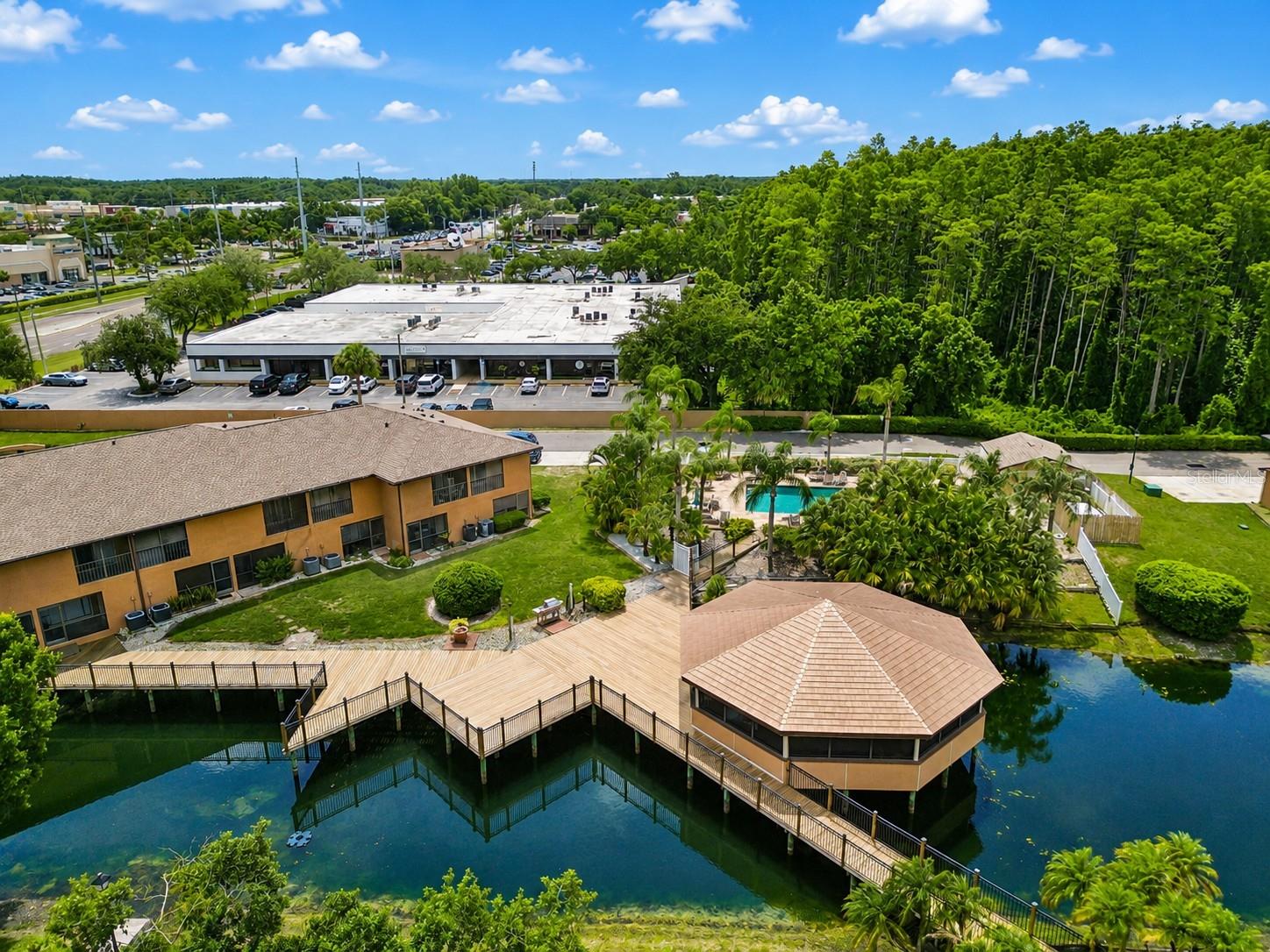 CARROLLWOOD COVE AT EMERALD GR - Residential