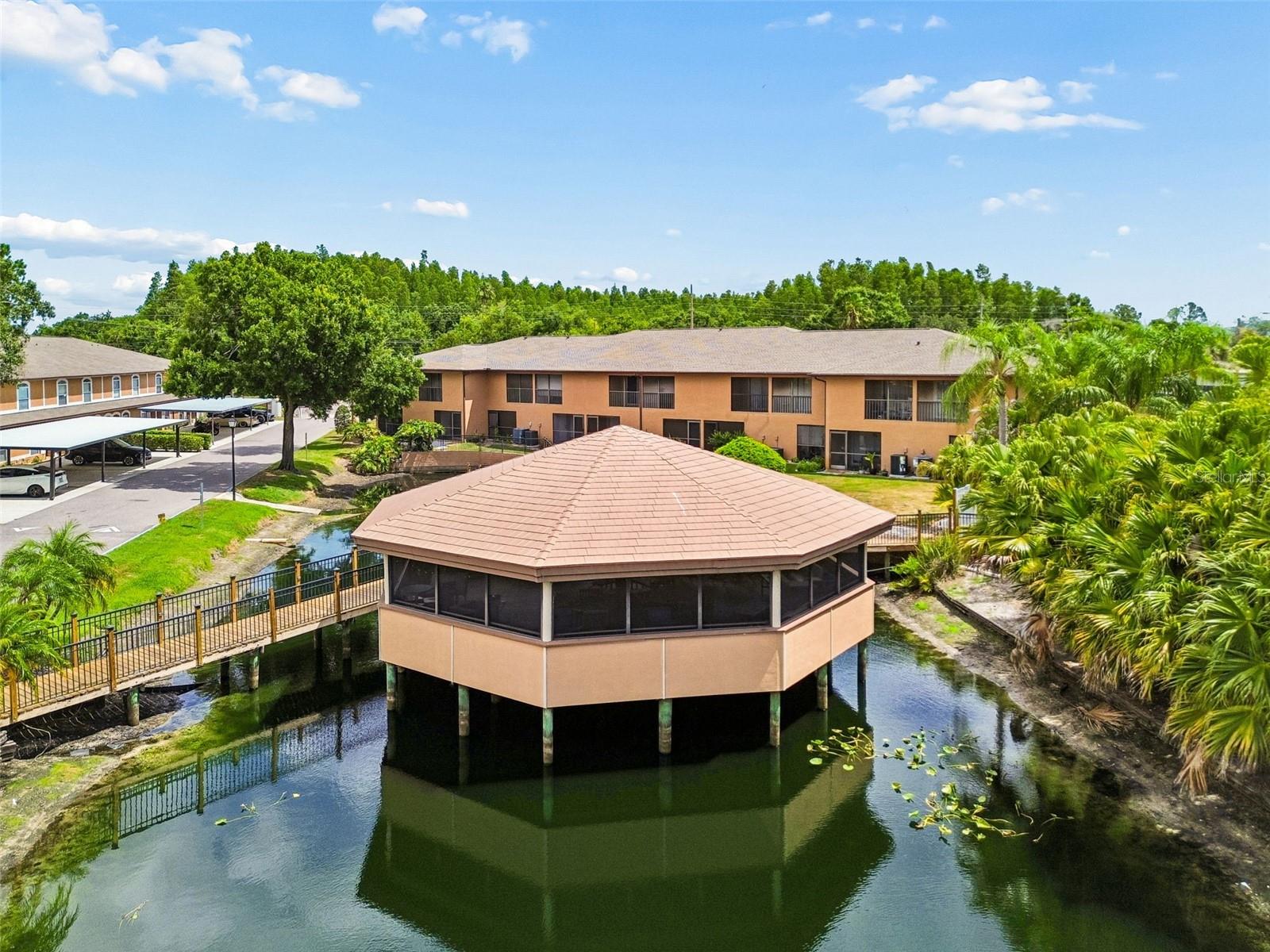 CARROLLWOOD COVE AT EMERALD GR - Residential