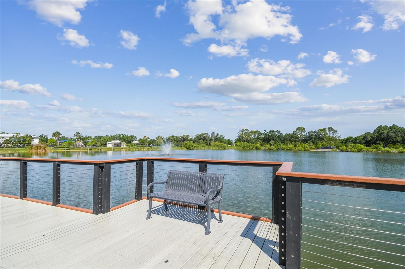 CARROLLWOOD COVE AT EMERALD GR - Residential