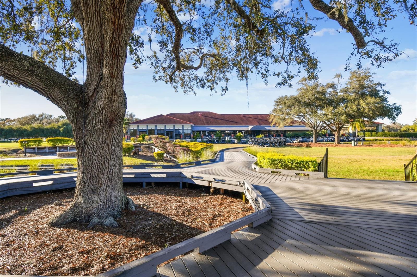 CARROLLWOOD COVE AT EMERALD GR - Residential